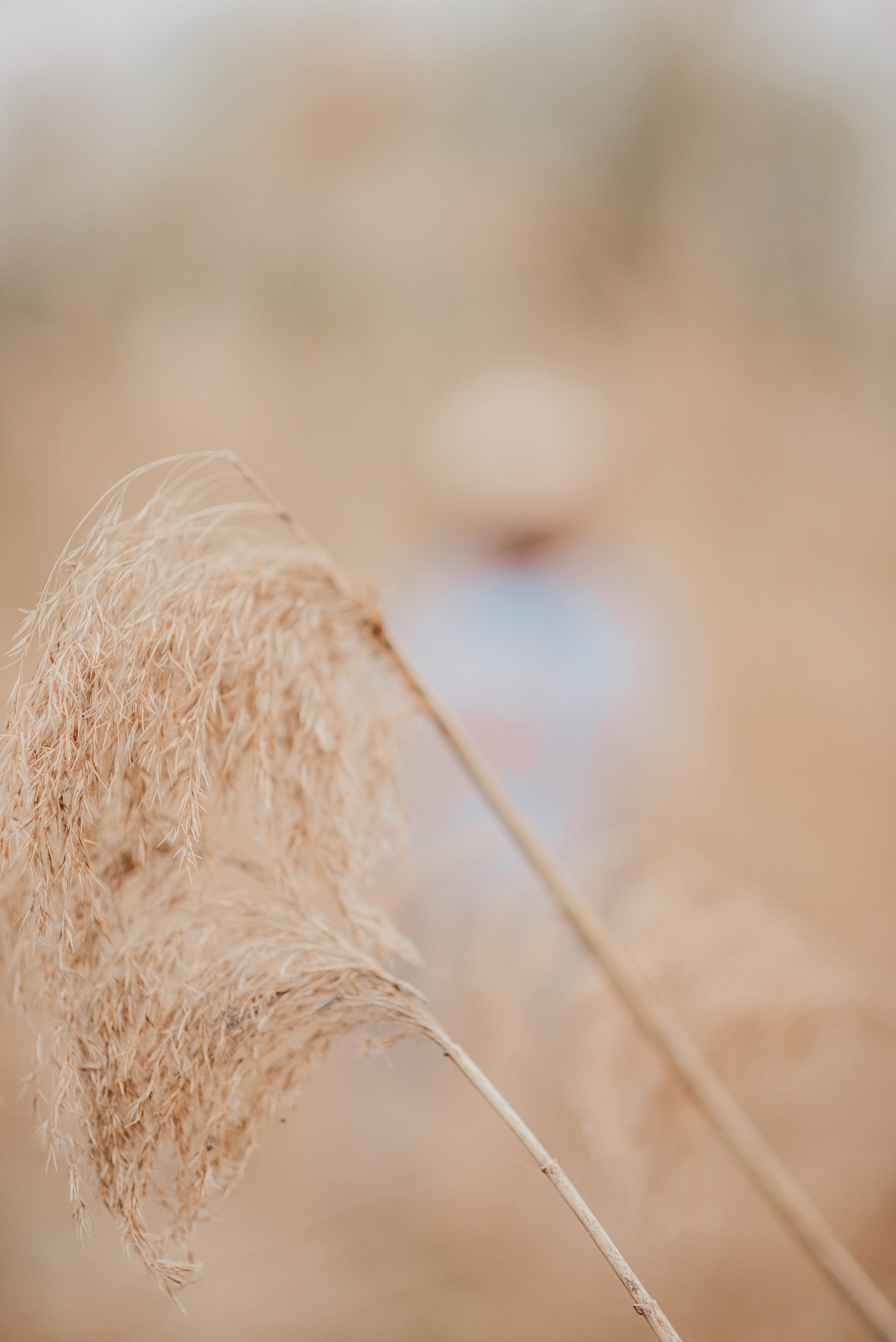 ALTMÜHLSEE. Fotografin Ansbach - Paare | Hochzeit | After Wedding