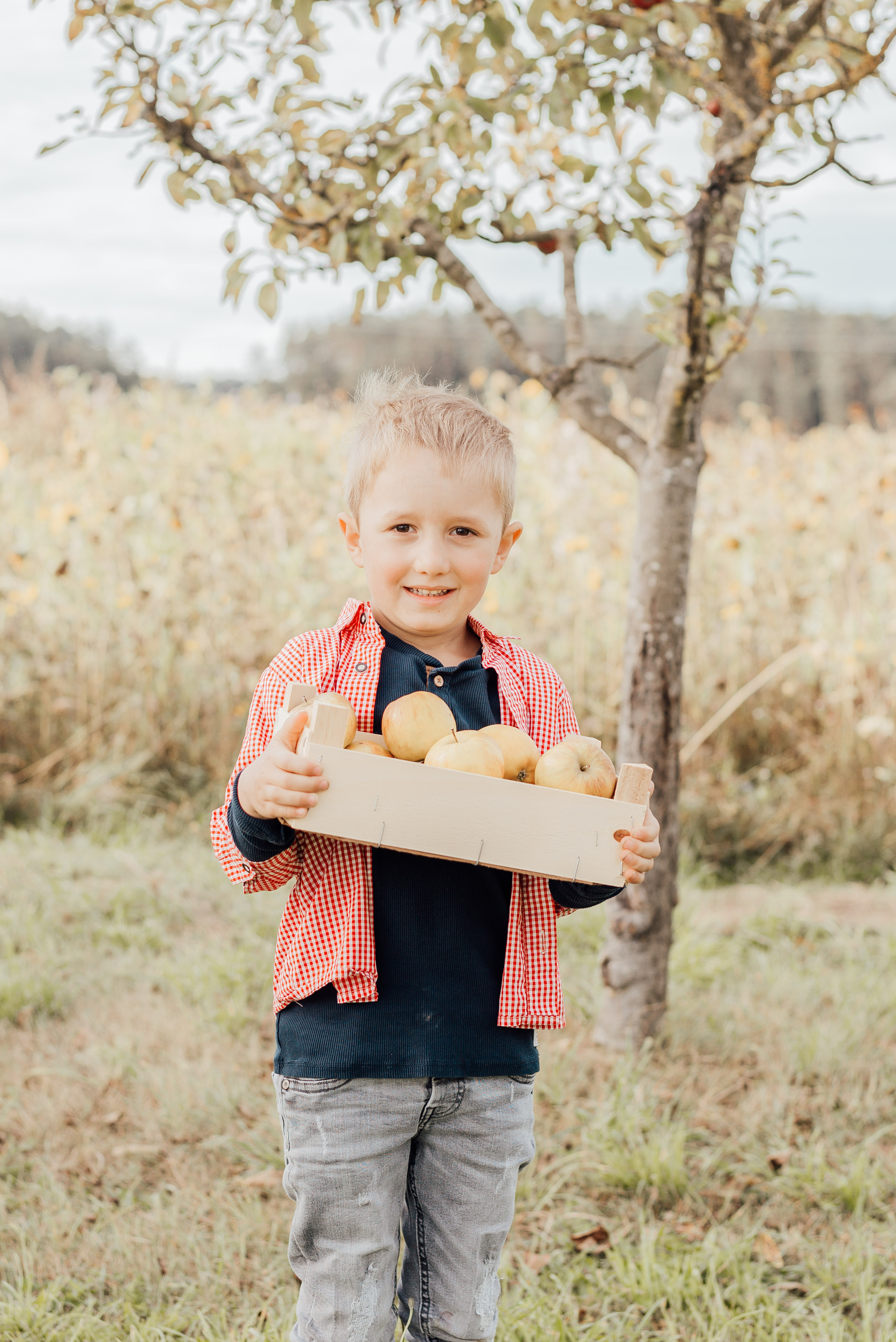 APPLE TREES. Photographer in Nuremberg Irina Mehnert from Ansbach