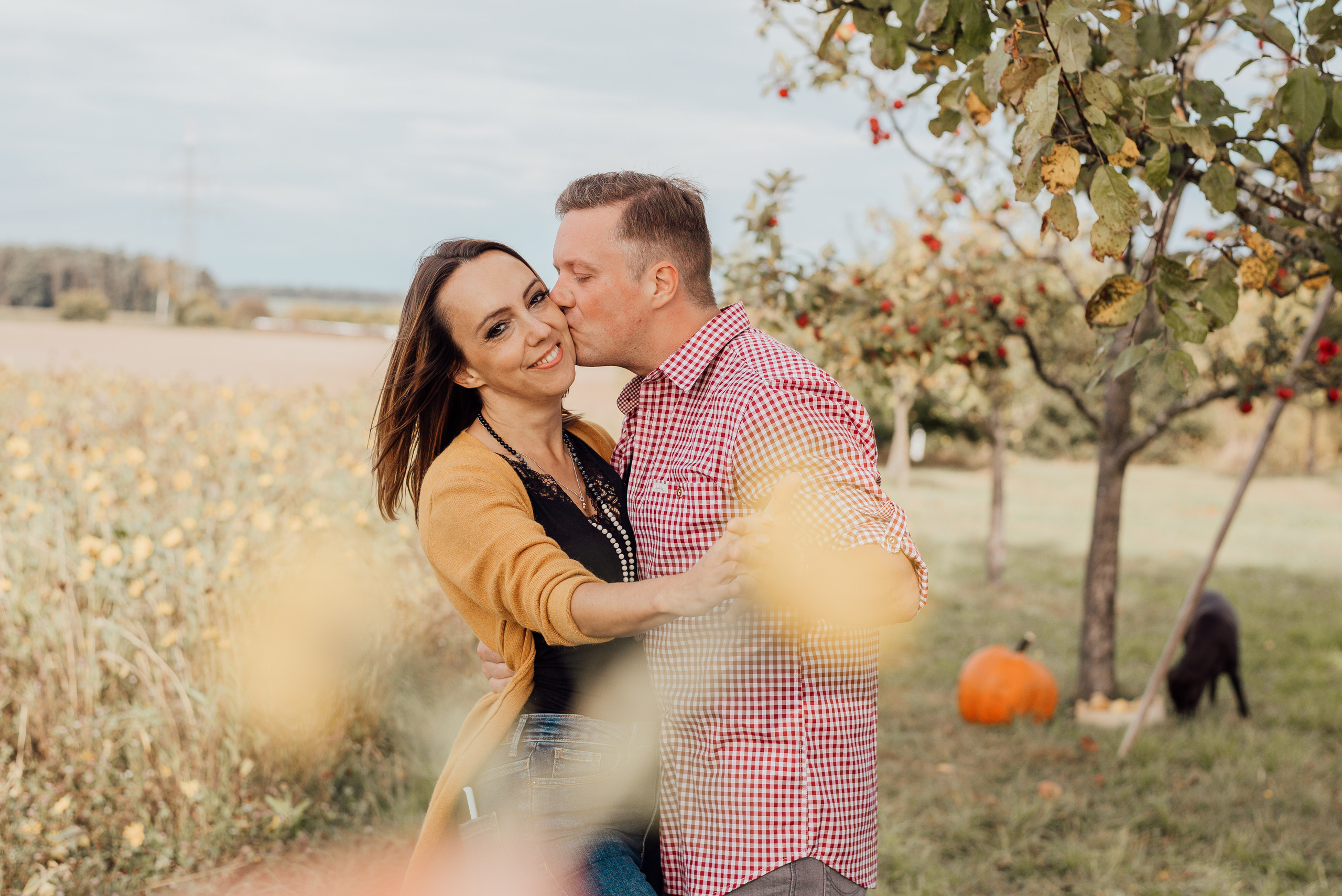 APPLE TREES. Photographer in Nuremberg Irina Mehnert from Ansbach