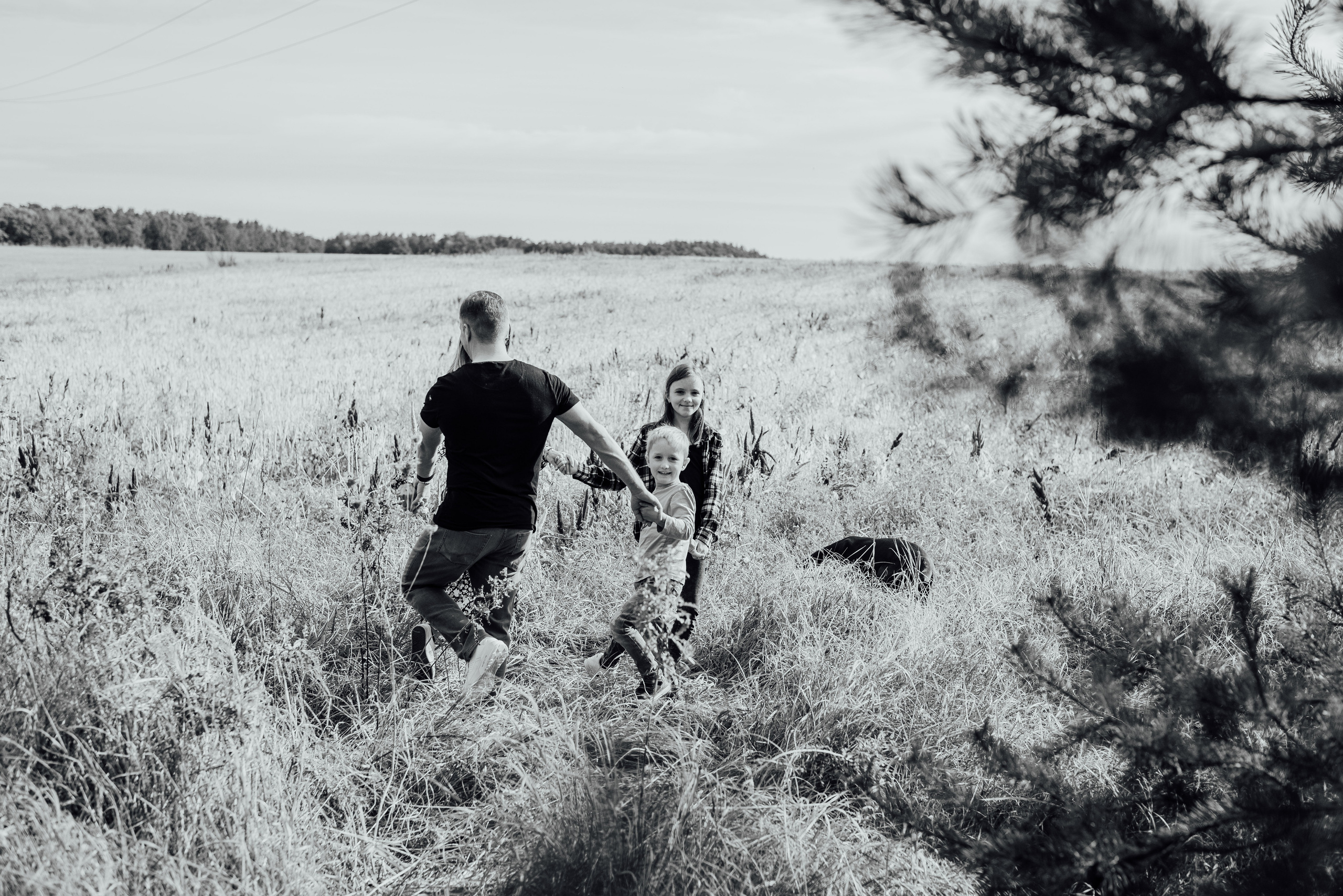 APPLE TREES. Photographer in Nuremberg Irina Mehnert from Ansbach