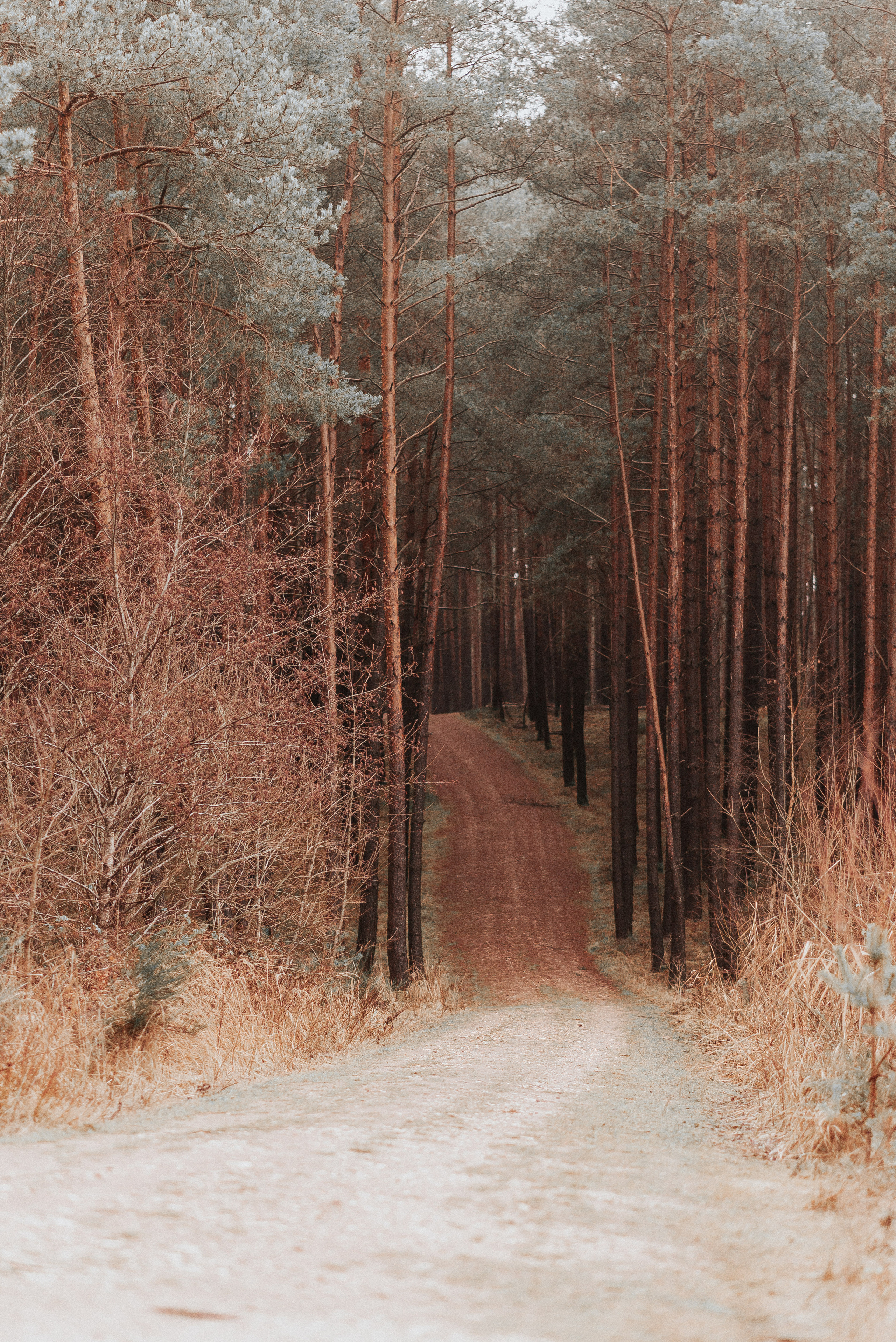 ВРЕМЯ С ПАПОЙ. Фотограф в Нюрнберге Ирина Менерт из Ансбаха