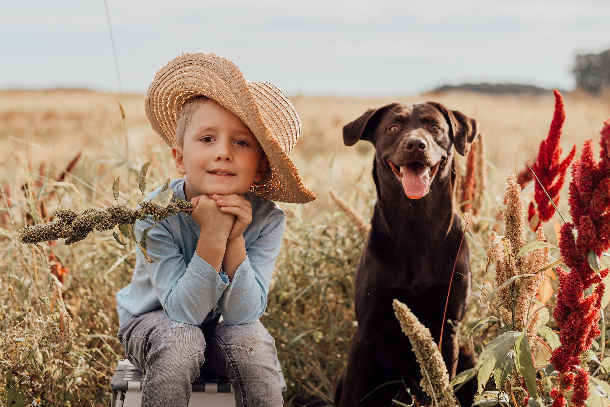 APPLE TREES. Photographer in Nuremberg Irina Mehnert from Ansbach