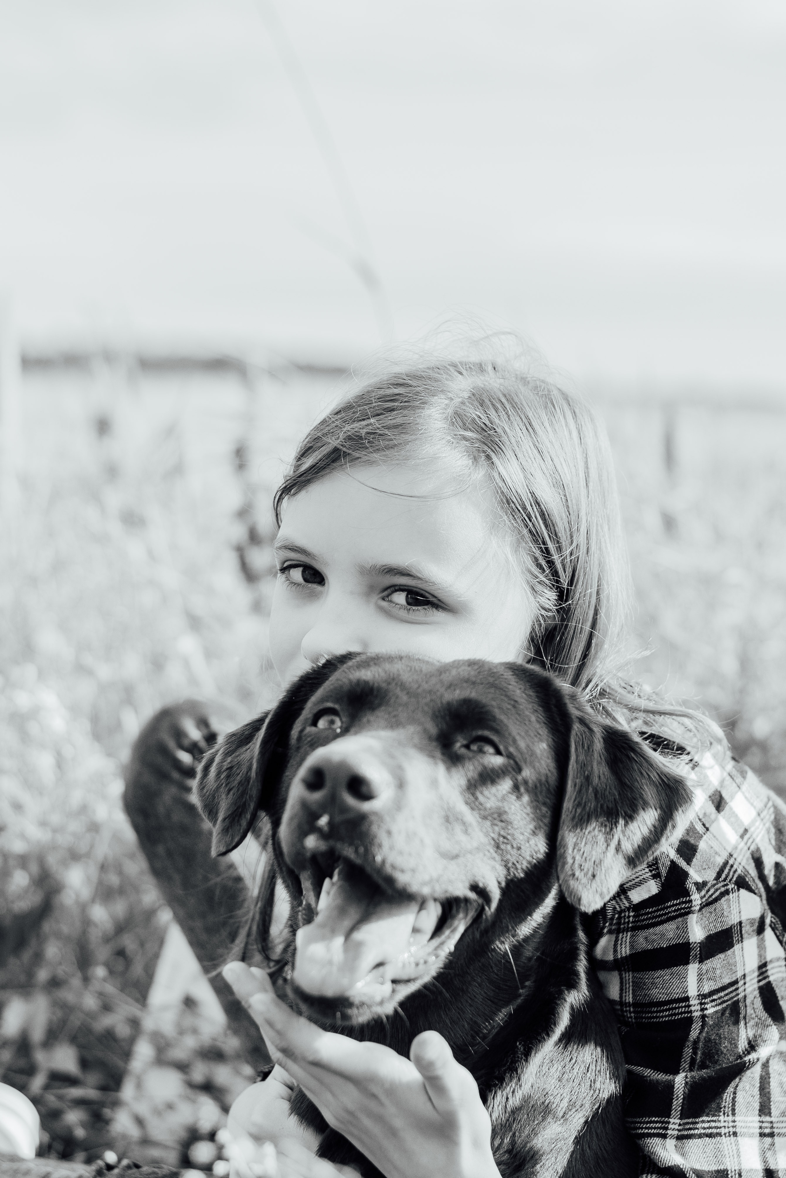 APPLE TREES. Photographer in Nuremberg Irina Mehnert from Ansbach