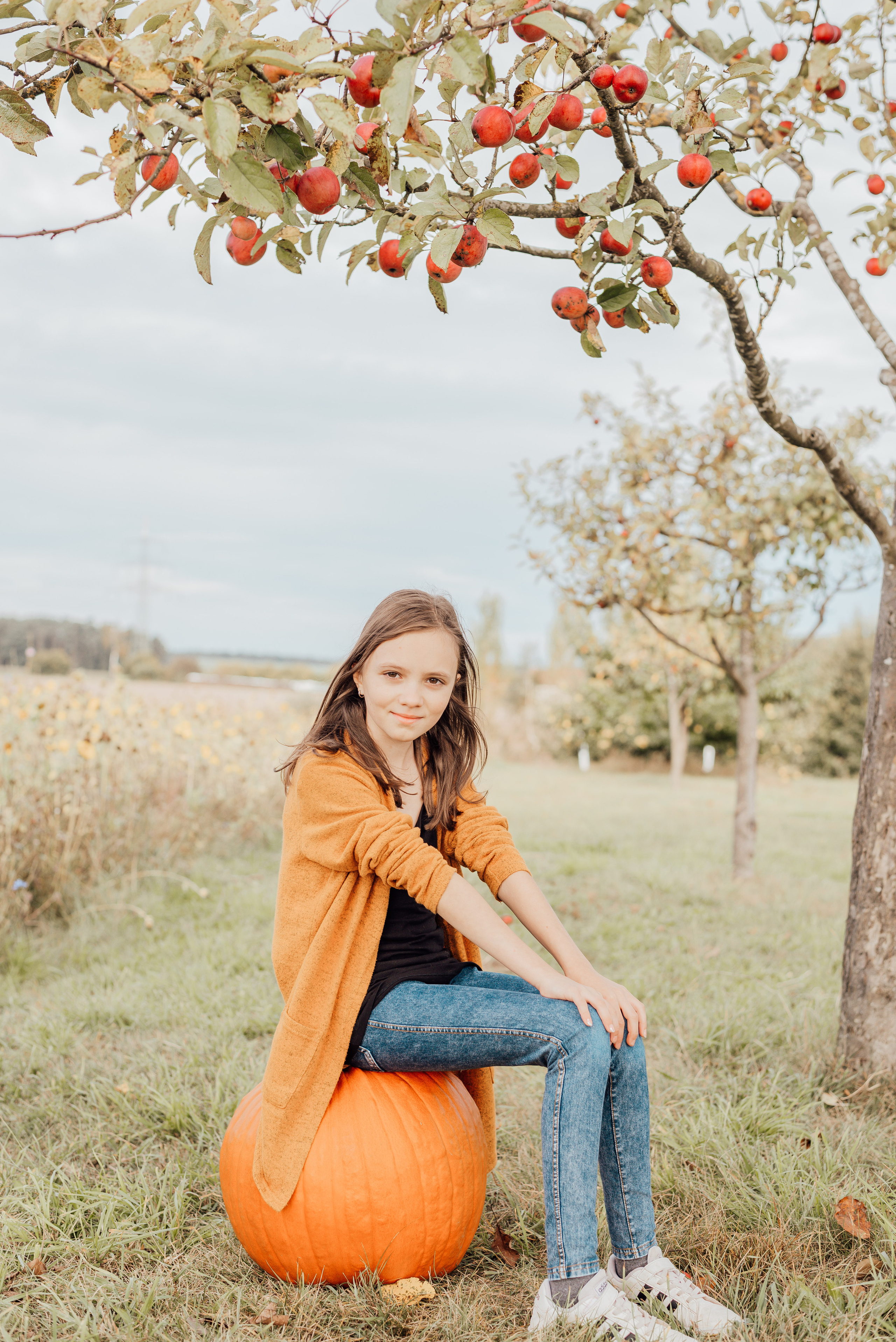 APPLE TREES. Photographer in Nuremberg Irina Mehnert from Ansbach