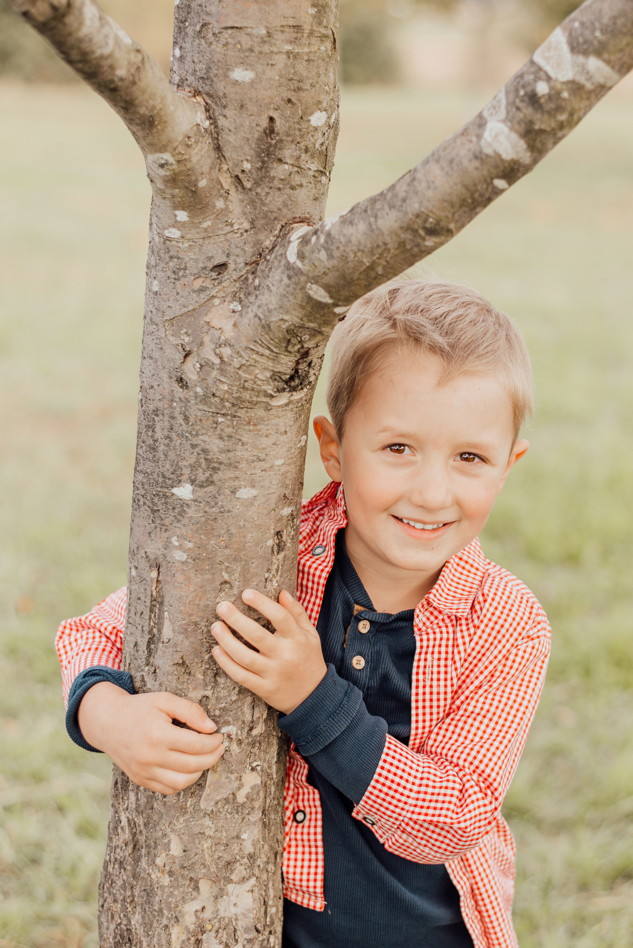 APPLE TREES. Photographer in Nuremberg Irina Mehnert from Ansbach