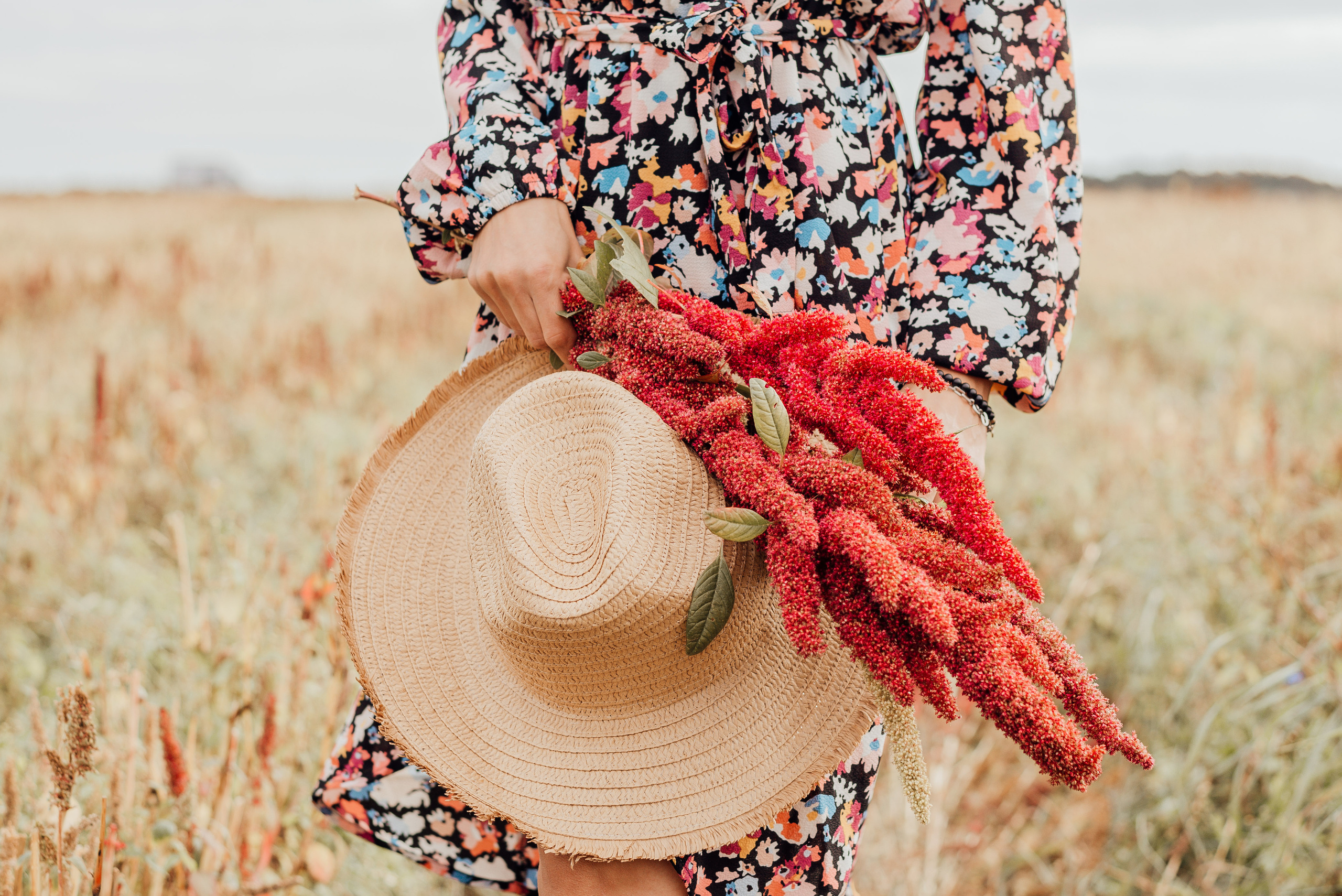 APPLE TREES. Photographer in Nuremberg Irina Mehnert from Ansbach