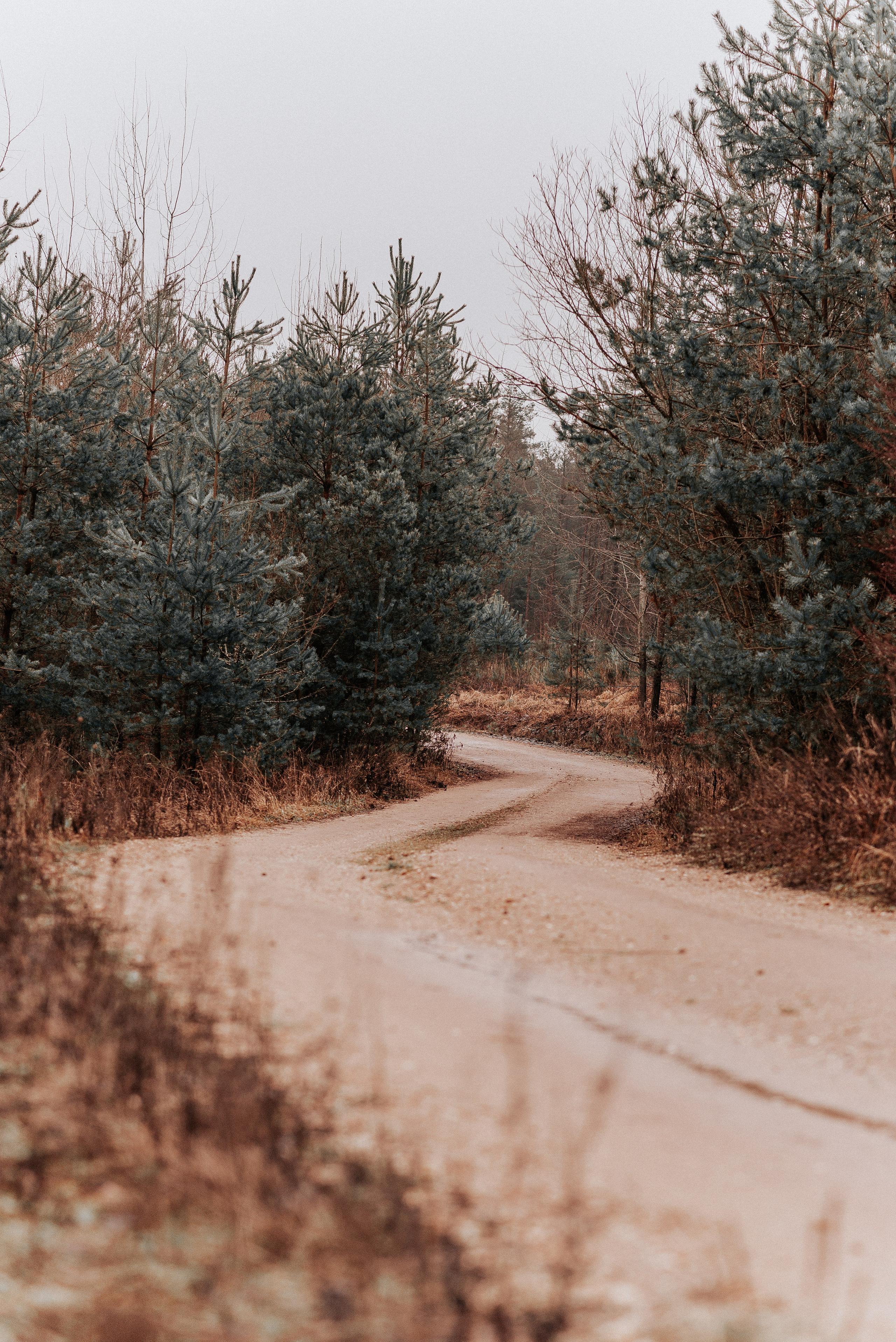 ВРЕМЯ С ПАПОЙ. Фотограф в Нюрнберге Ирина Менерт из Ансбаха