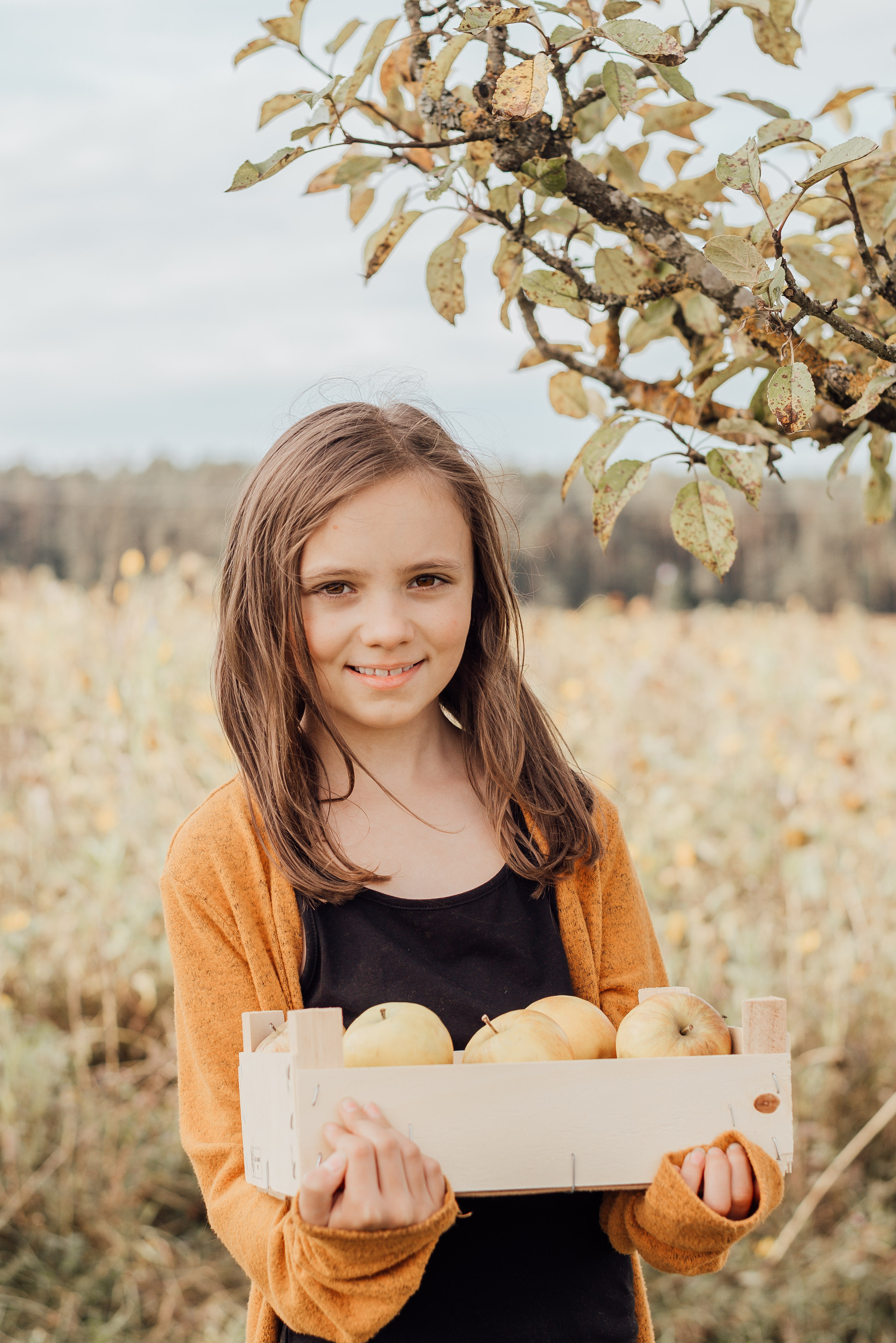 APPLE TREES. Photographer in Nuremberg Irina Mehnert from Ansbach