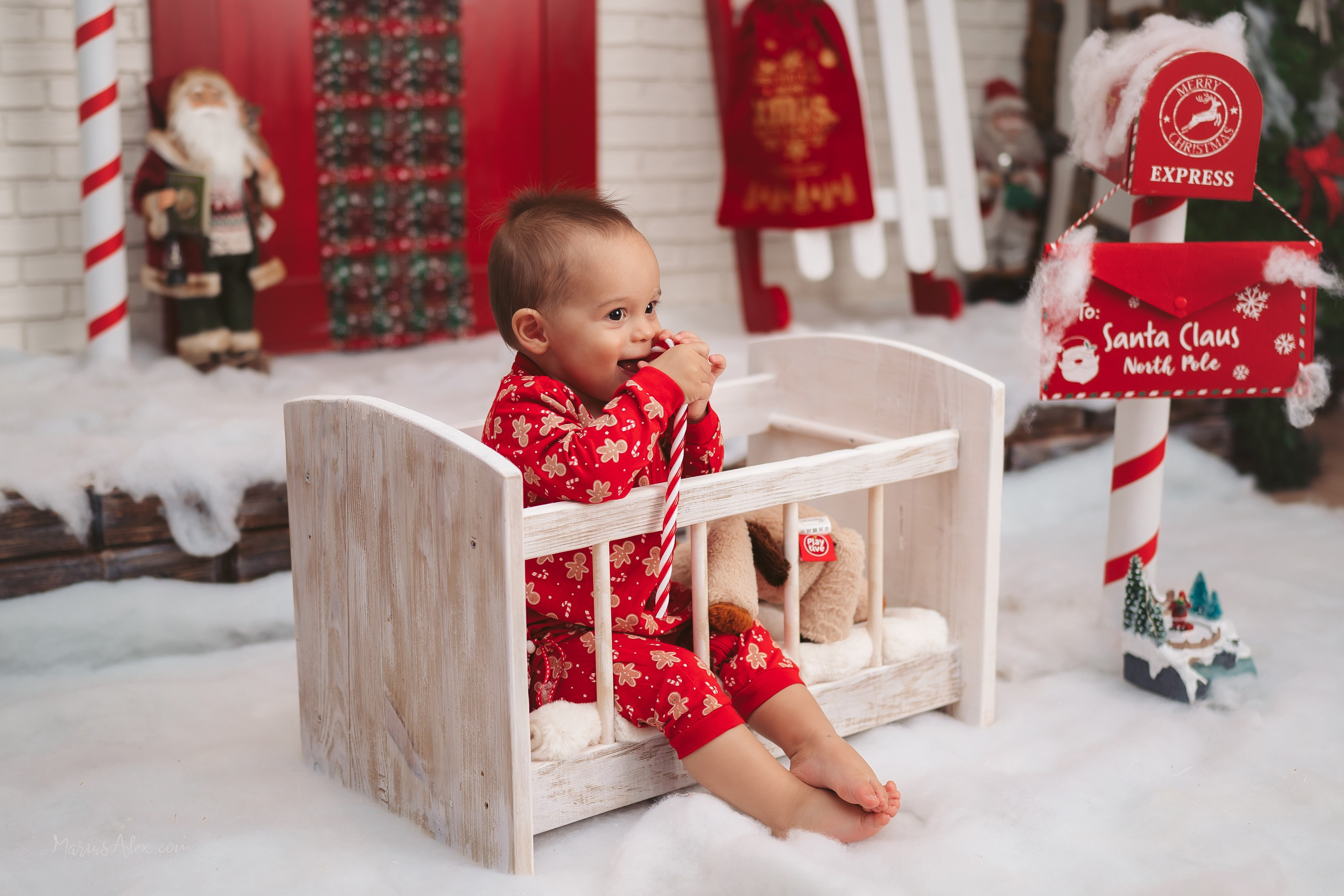 Familia Hacman - Un Crăciun de poveste. Marius Alex fotograf de eveniment si portret din Suceava