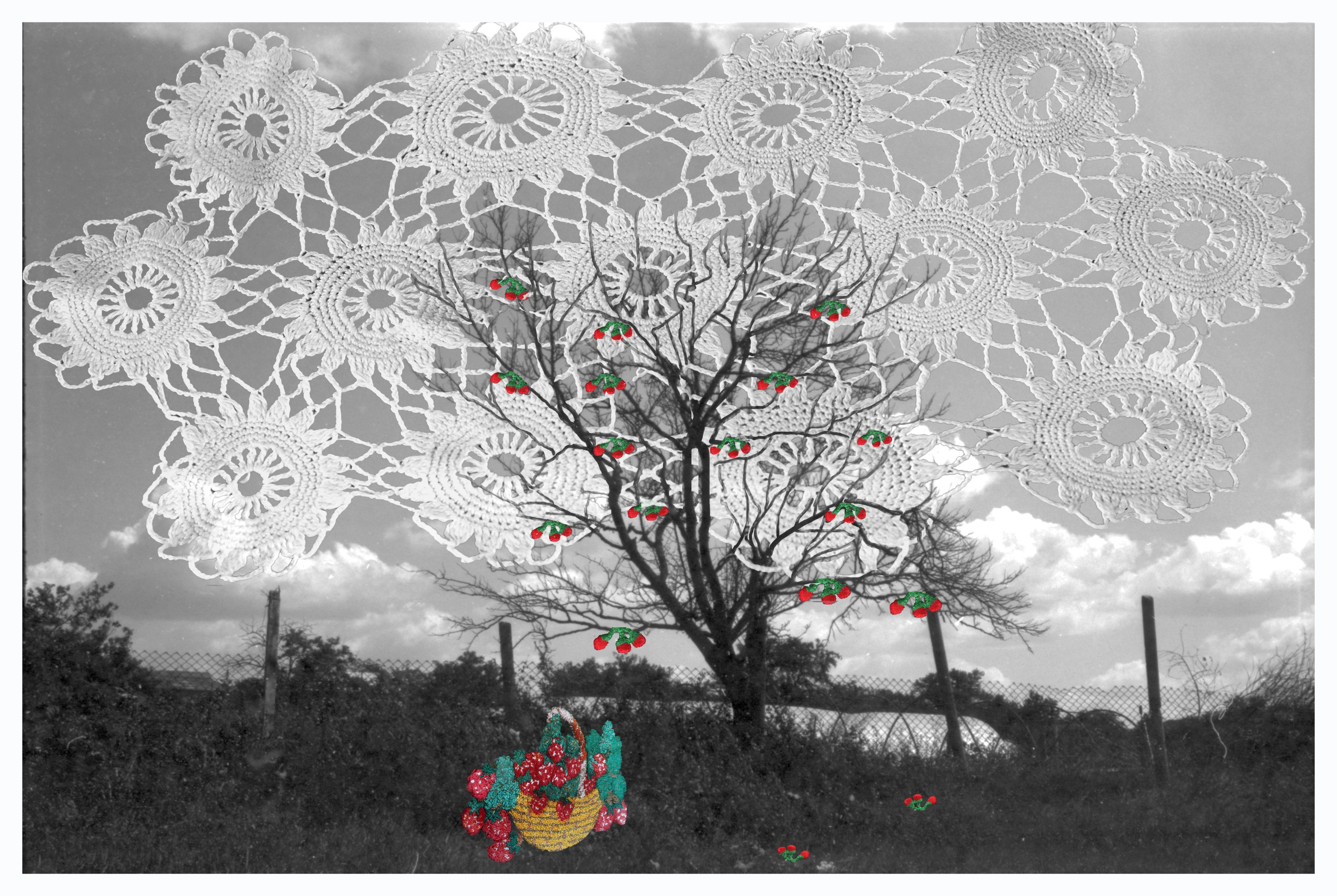 Patterns of the village of Gaidar. Natalia Parfenova visual artist film photographer