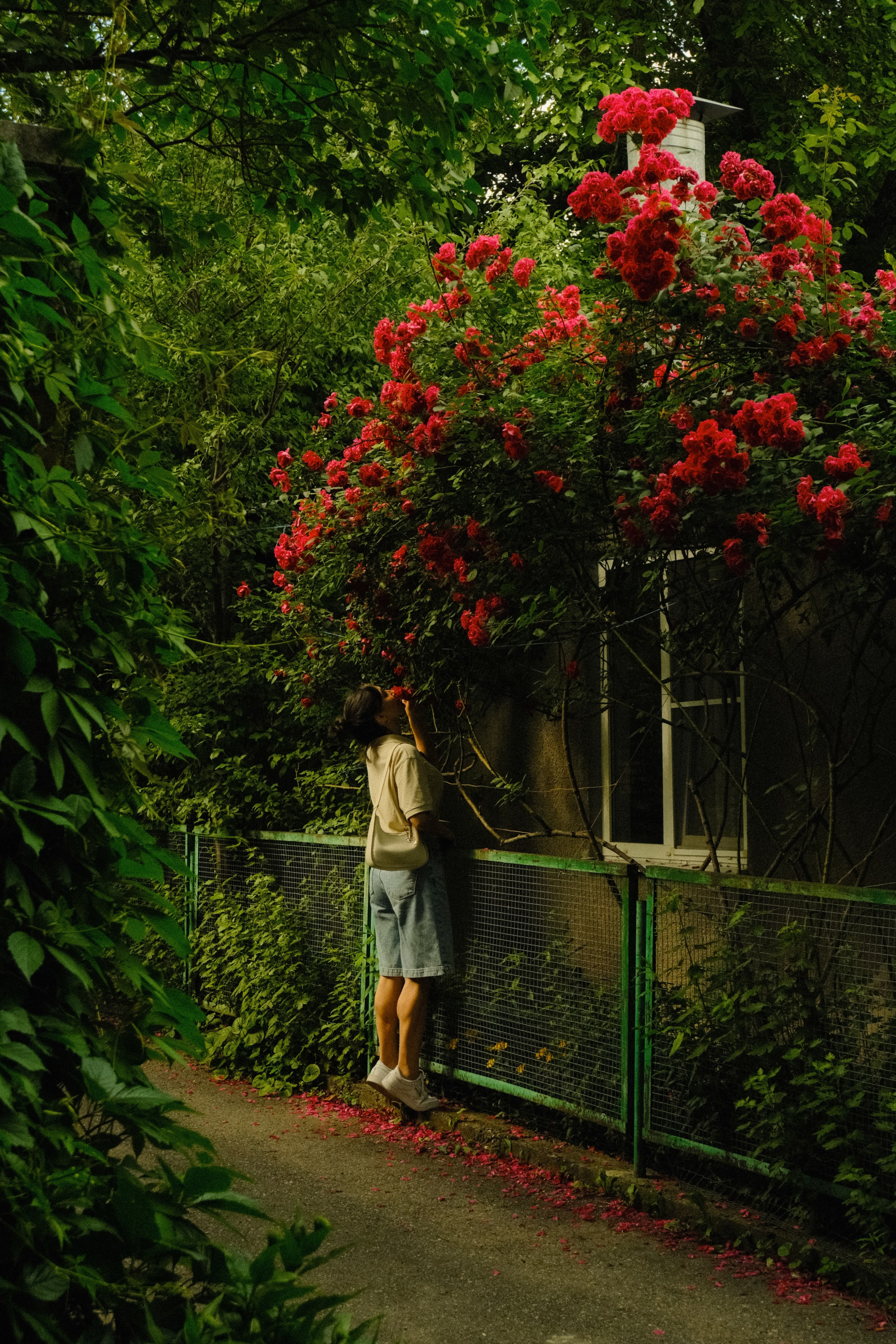 Caucasus & Elbrus. Nikita Pavlov, Photographer — Vienna, Austria