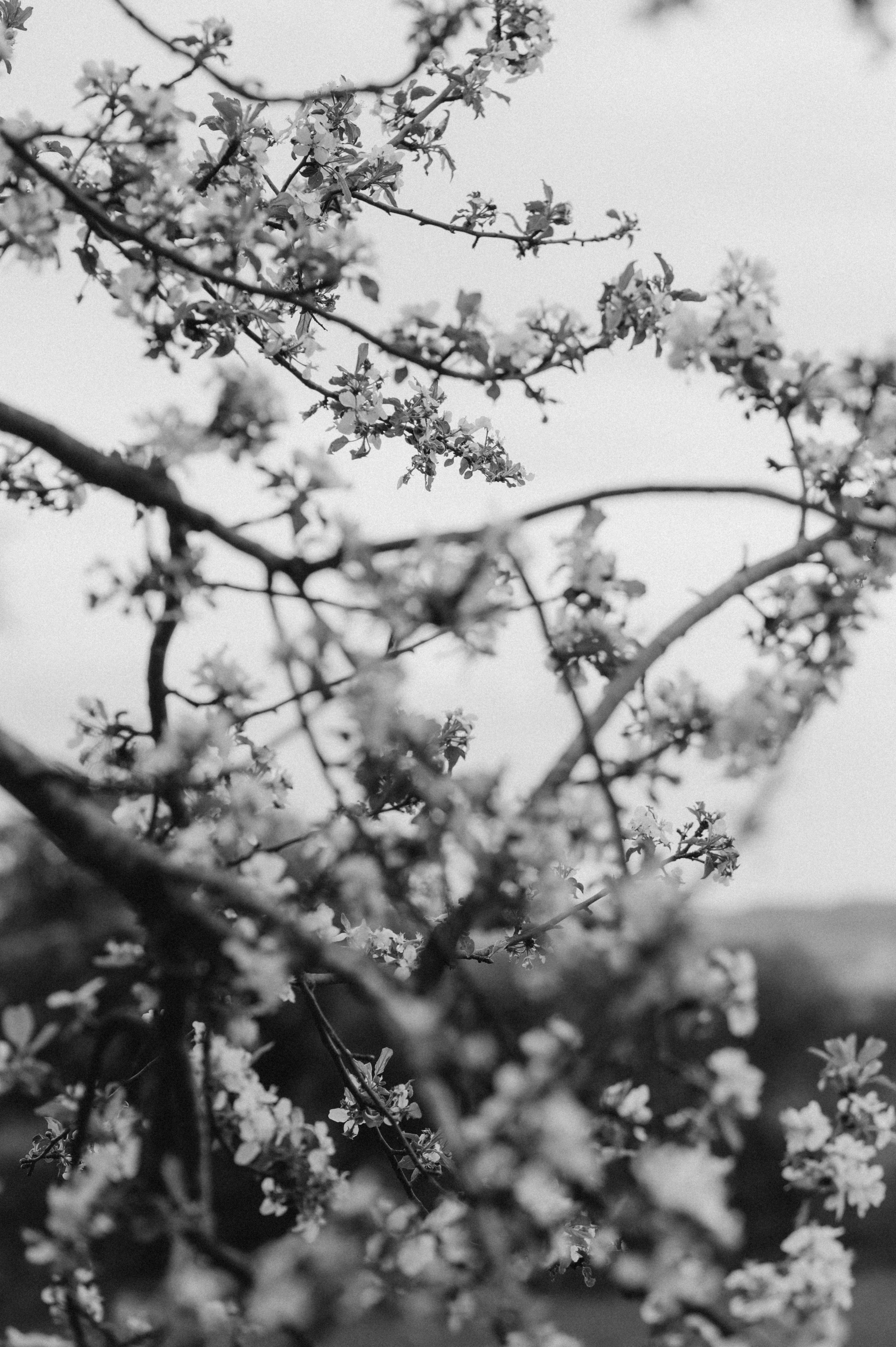RAINY DAY IN HERRIEDEN. Photographer in Nuremberg Irina Mehnert from Ansbach