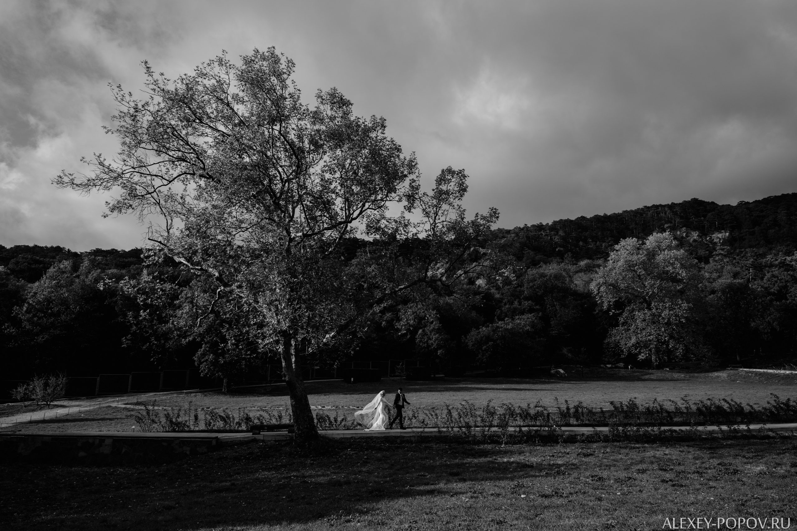 Going to the sea. Wedding photograper — Alex Popov photography Germany, Switzerland, Italy, France. Based in Stuttgart
