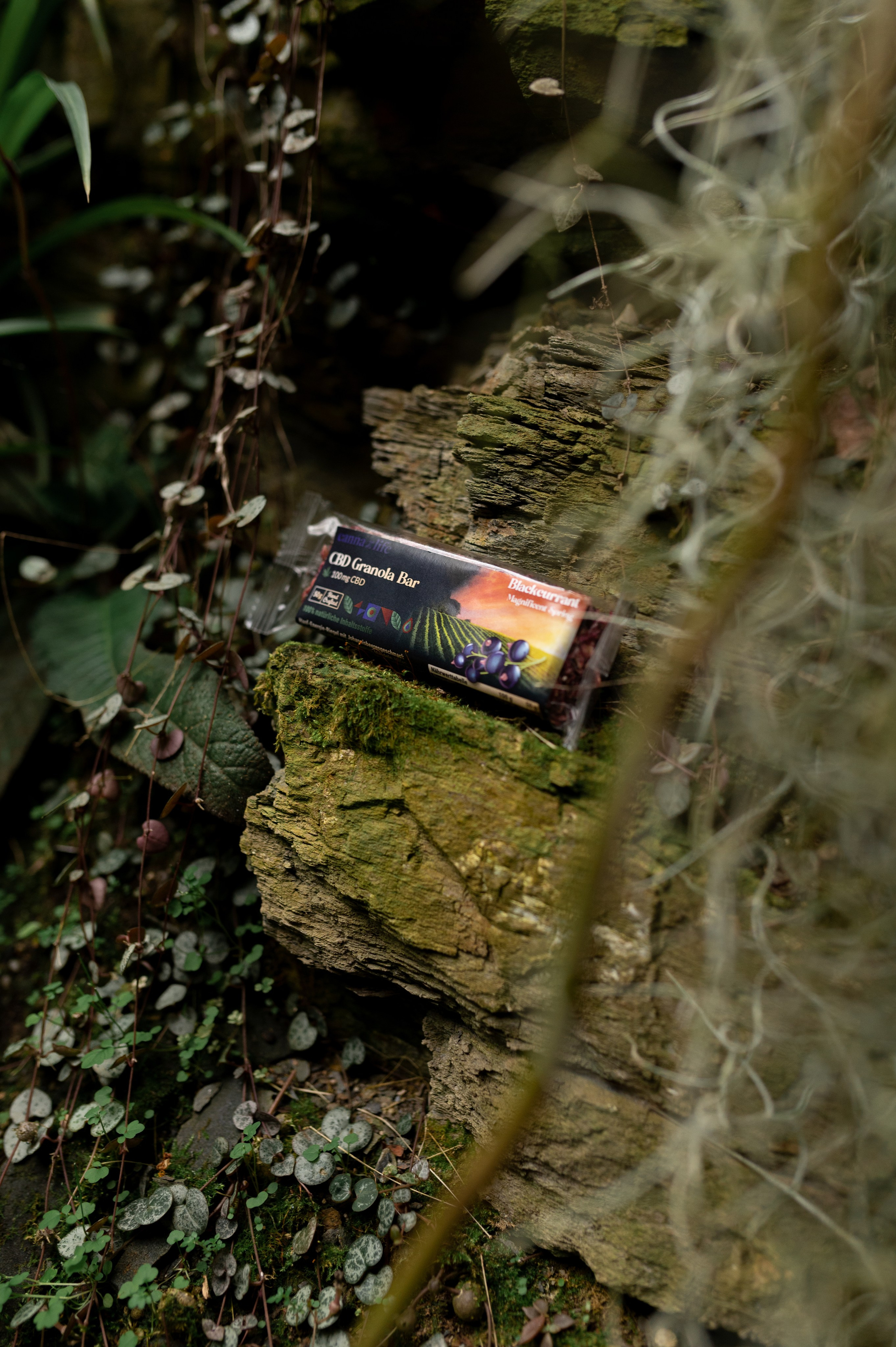 CannaXlife CBD products. ANNA-MARIA PHOTO CONTENT CREATOR — фотограф, естет, художник і візуальний експерт Instagram у Празі