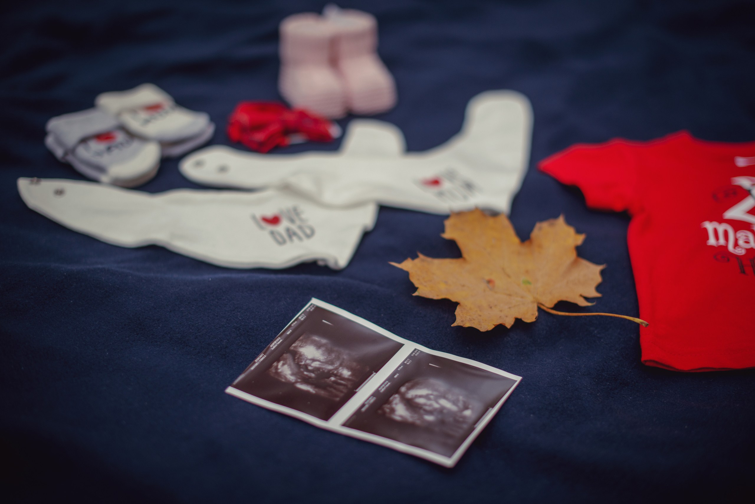 Maternity photography in Stromovka park in Prague. Professional photographer in Prague Anastasia Haritonova