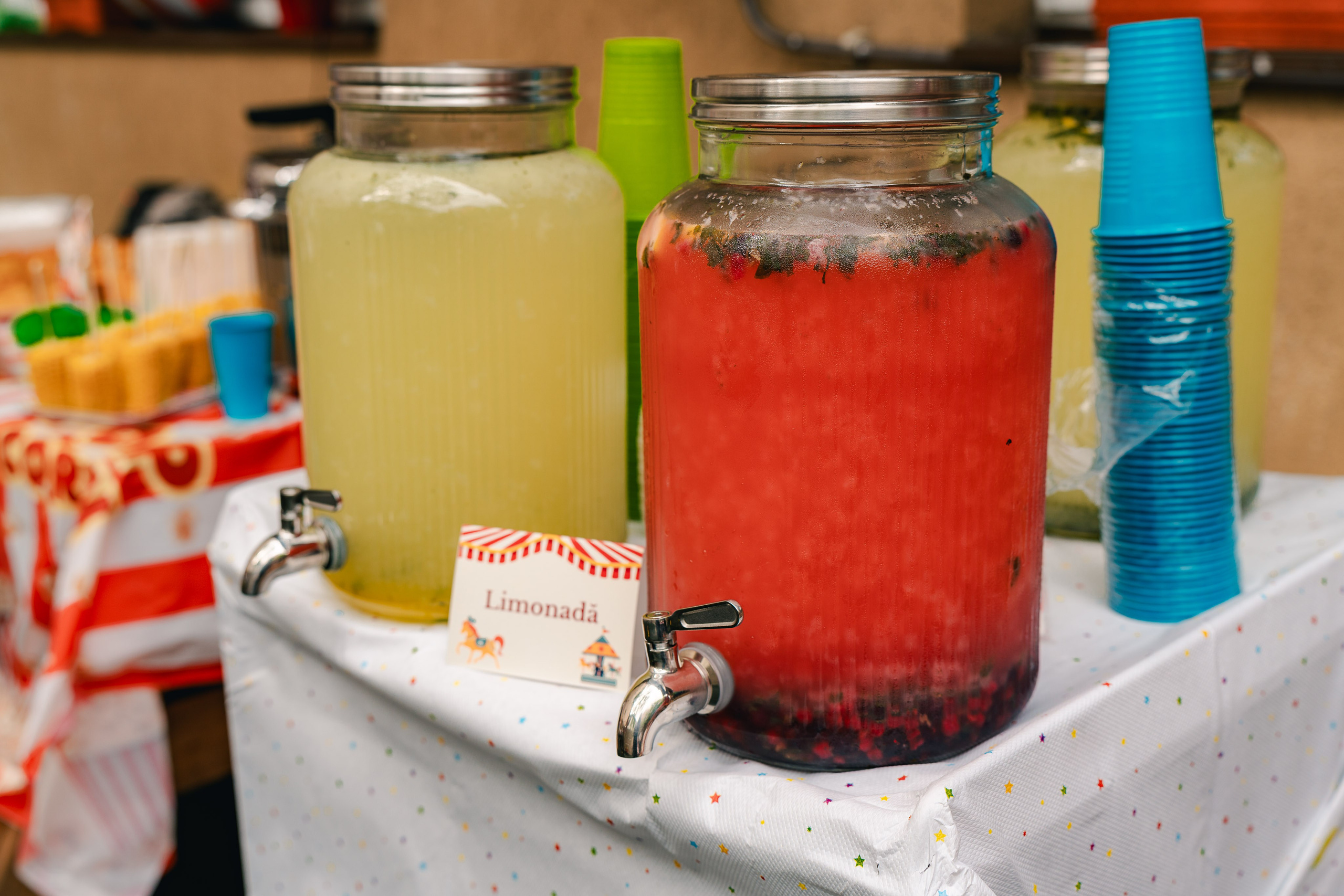 Miniterra Carusel. Liviu Andrei - Fotograf