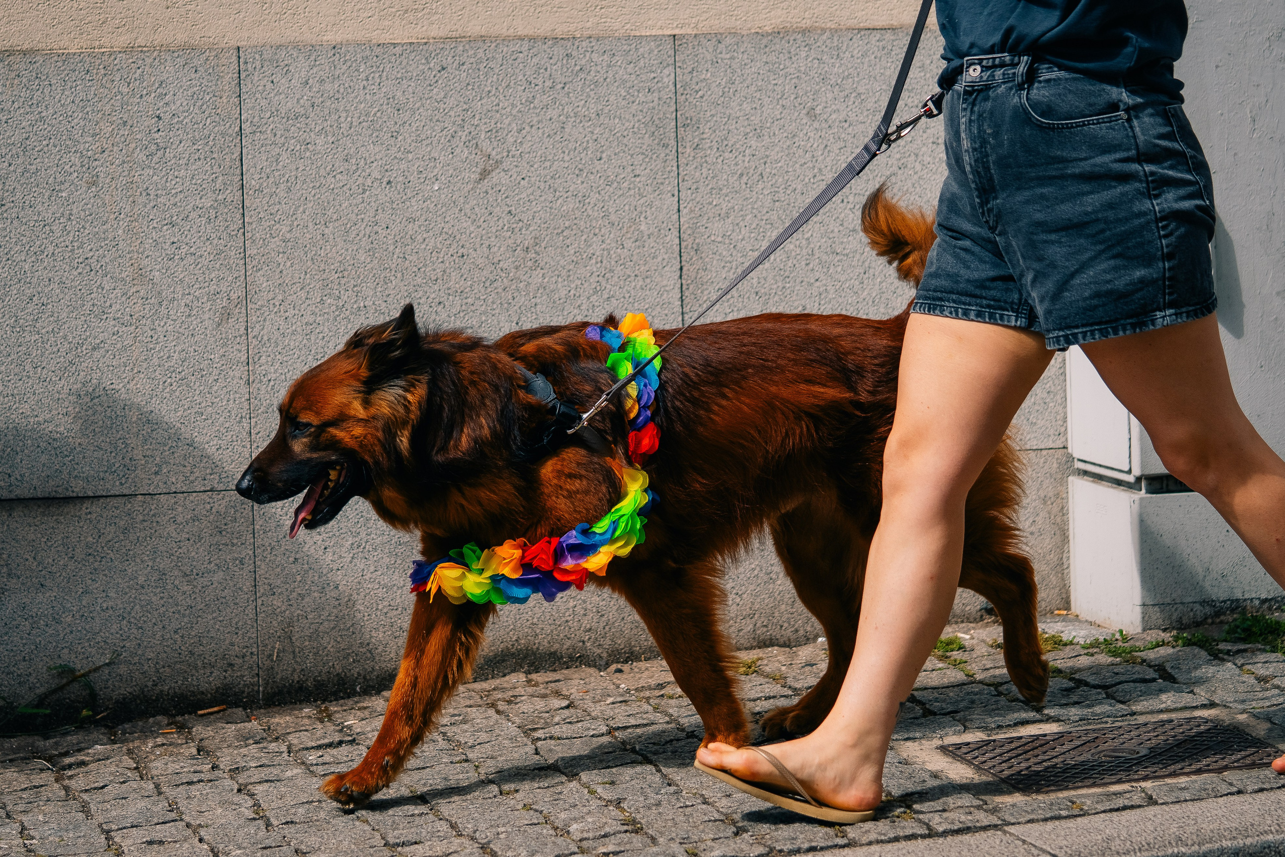 Porto Pride 2024. Maria Sher. Professional photographer from Porto, Portugal