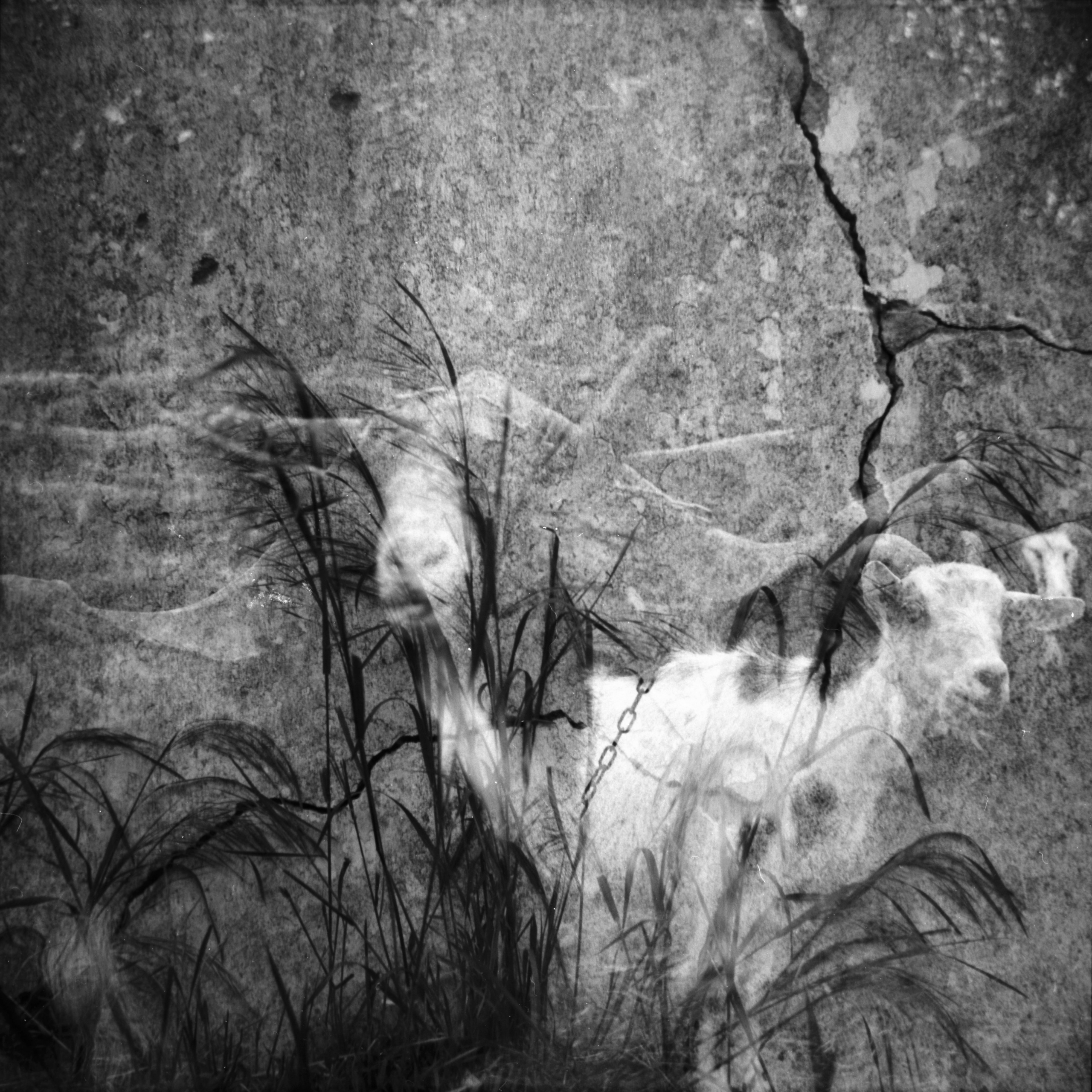 Tender Infinite Souls. Natalia Parfenova visual artist film photographer