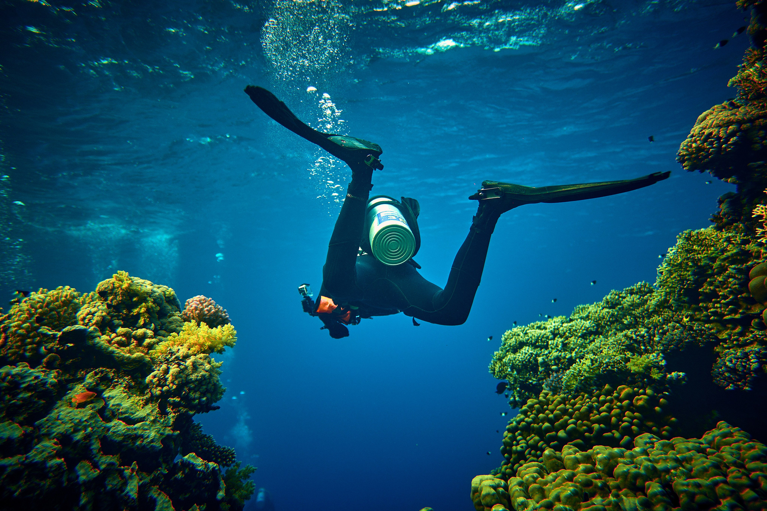 2023-11 - Diving Safari Deep South Egypt. Андрей Шипилов — Фотография & Видеография