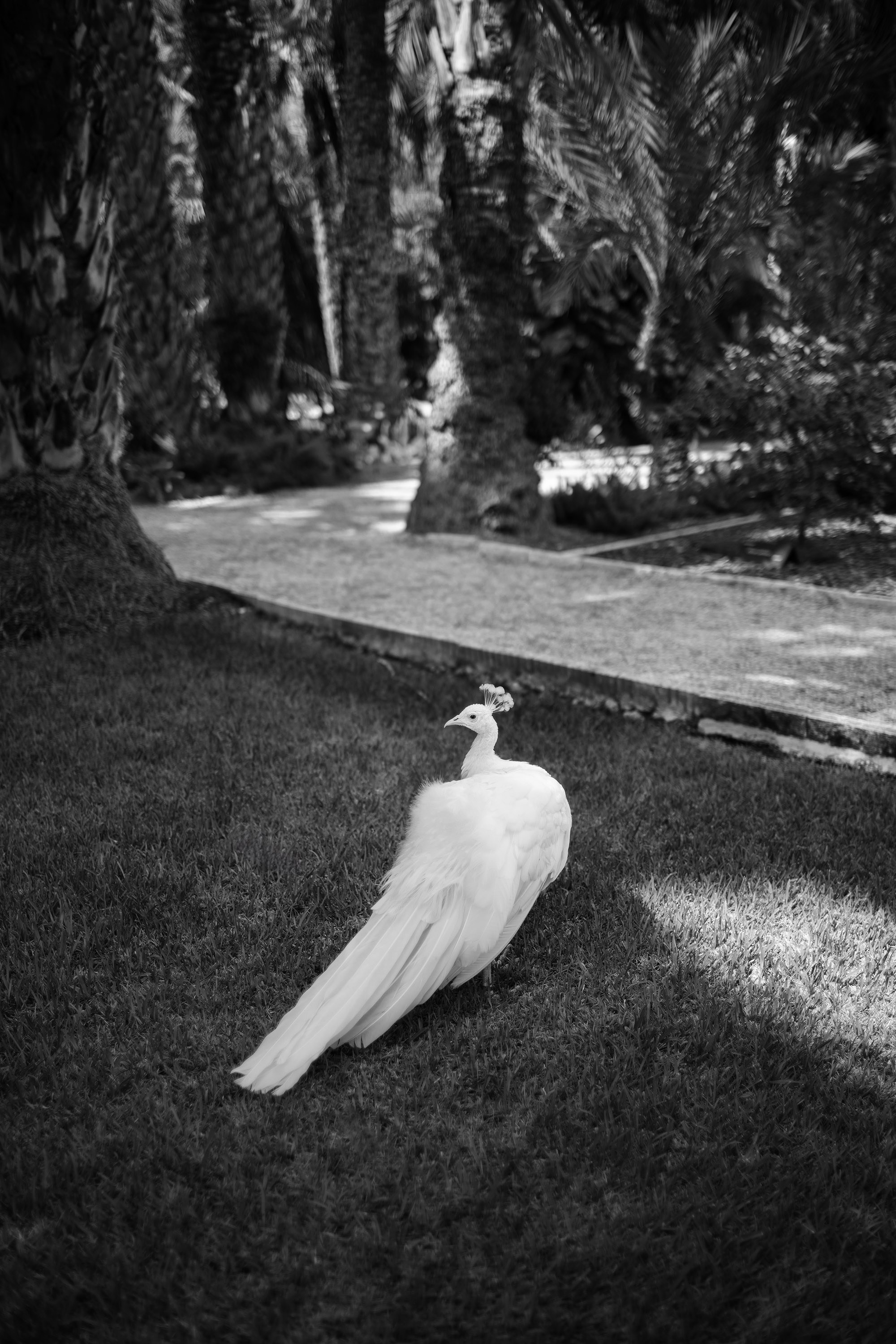 Eunji and Kjell. Destination Wedding Photographers based in Spain