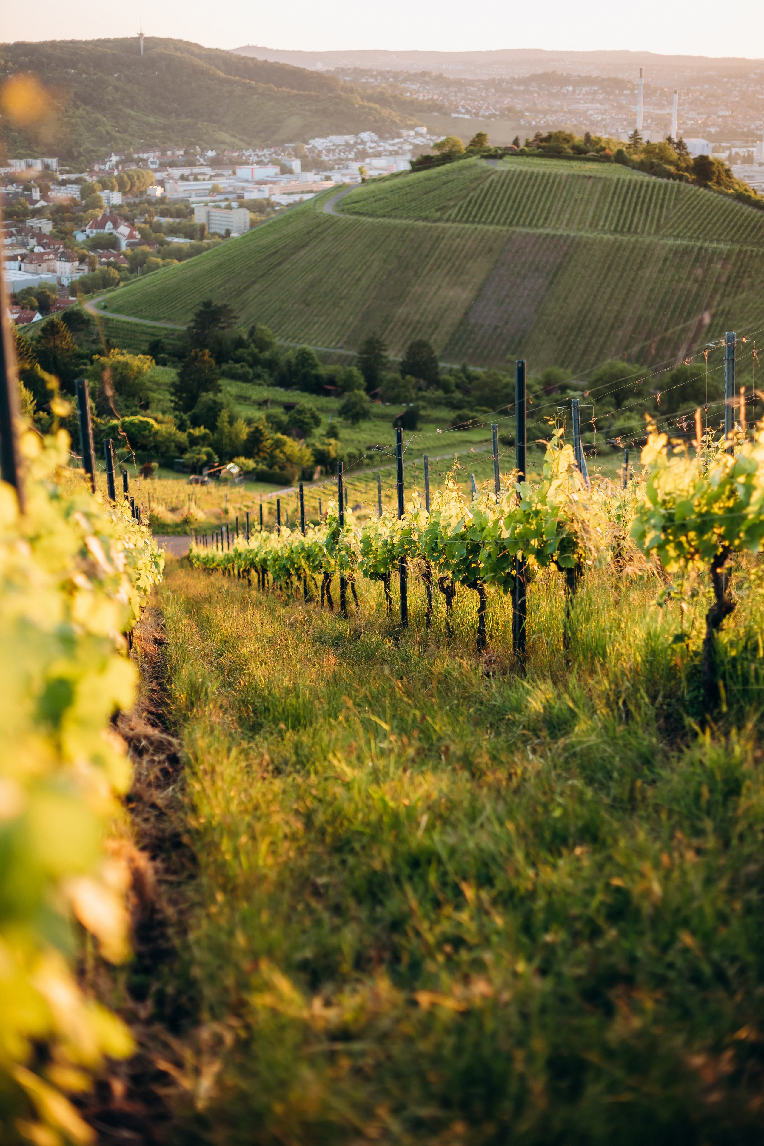 A&A. Wedding and Family Photograph