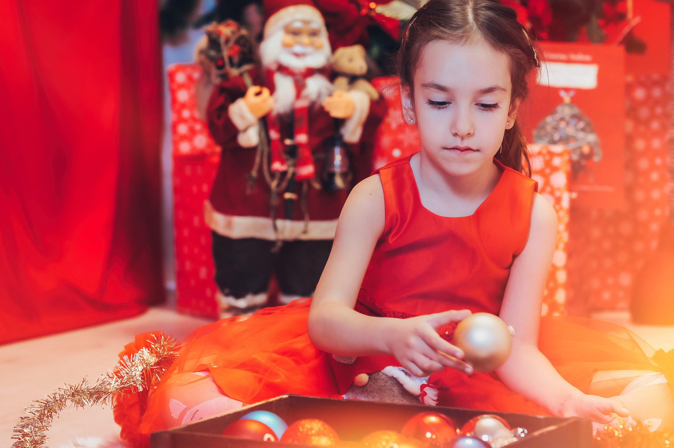 Sedinta Craciun Sofia