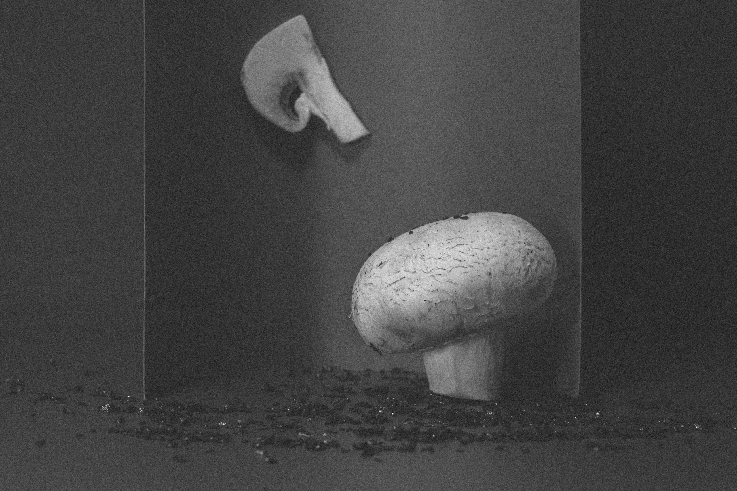 Factory (2023). Антонова | фото