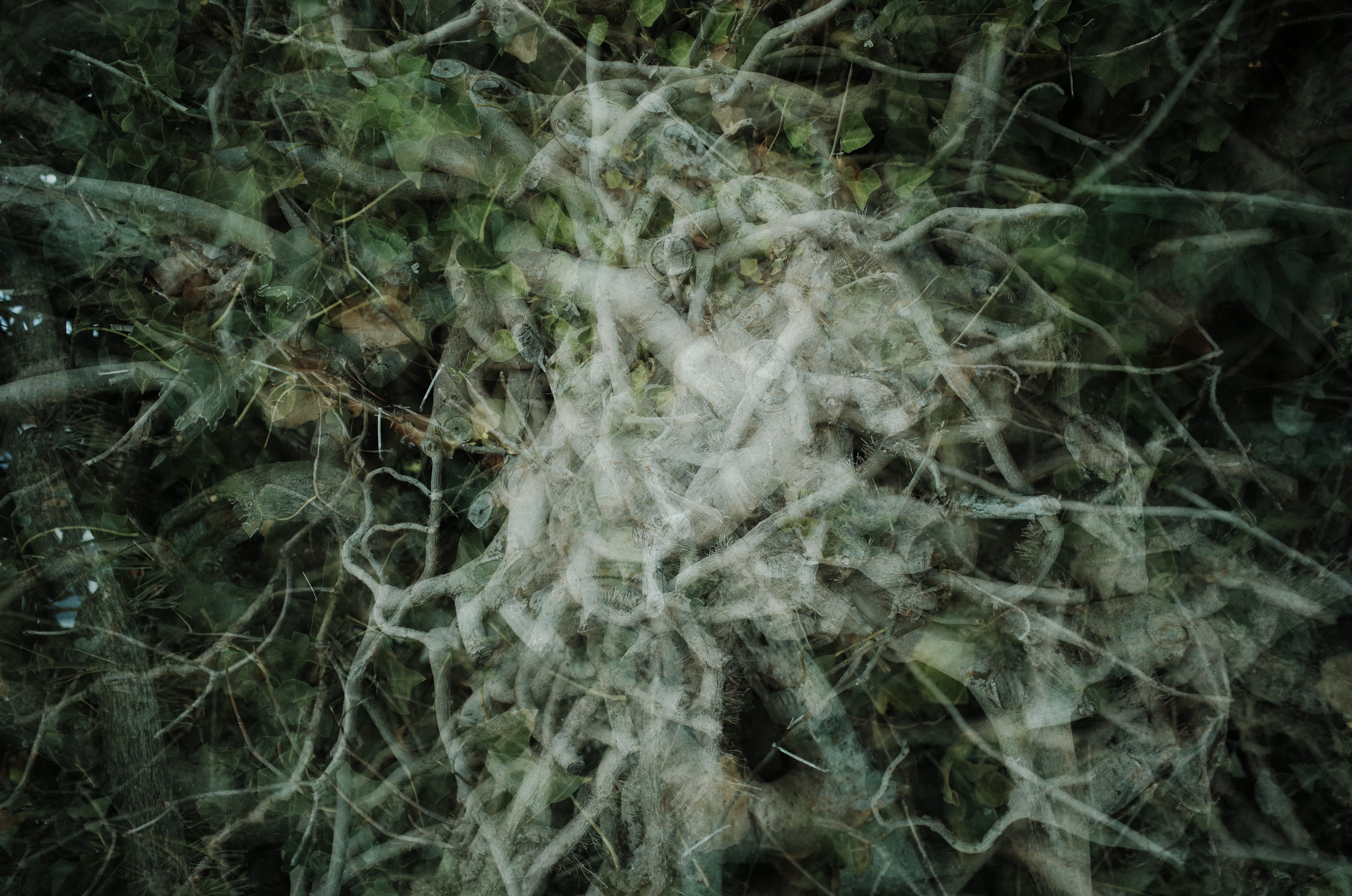 Angry walk of not belonging. Victoria Dini. Art photography in London / Folkestone, UK