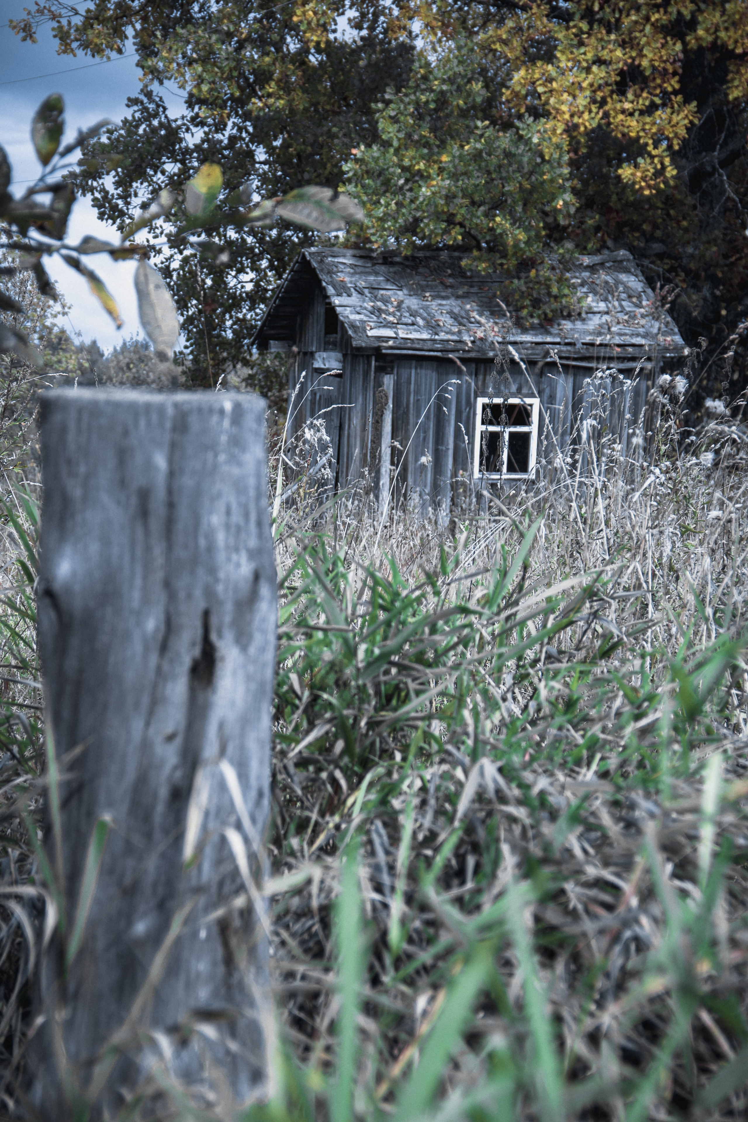 Заброшенная Россия: Мантурово. Фотограф в Германии — Мария Чистякова