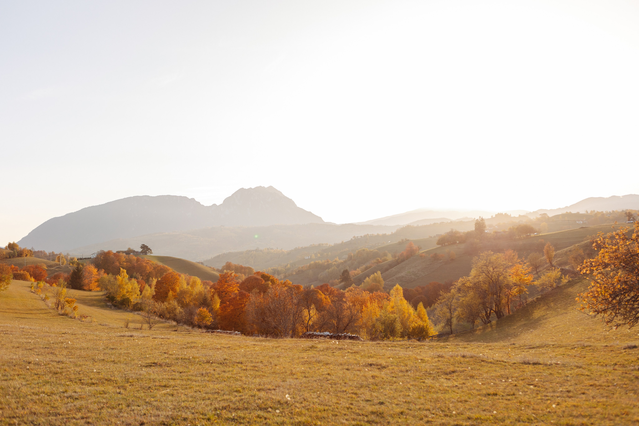 Ioana & Gigi. Cristina Andronache fotograf Brașov fotograf de familie fotograf de nunta Brașov