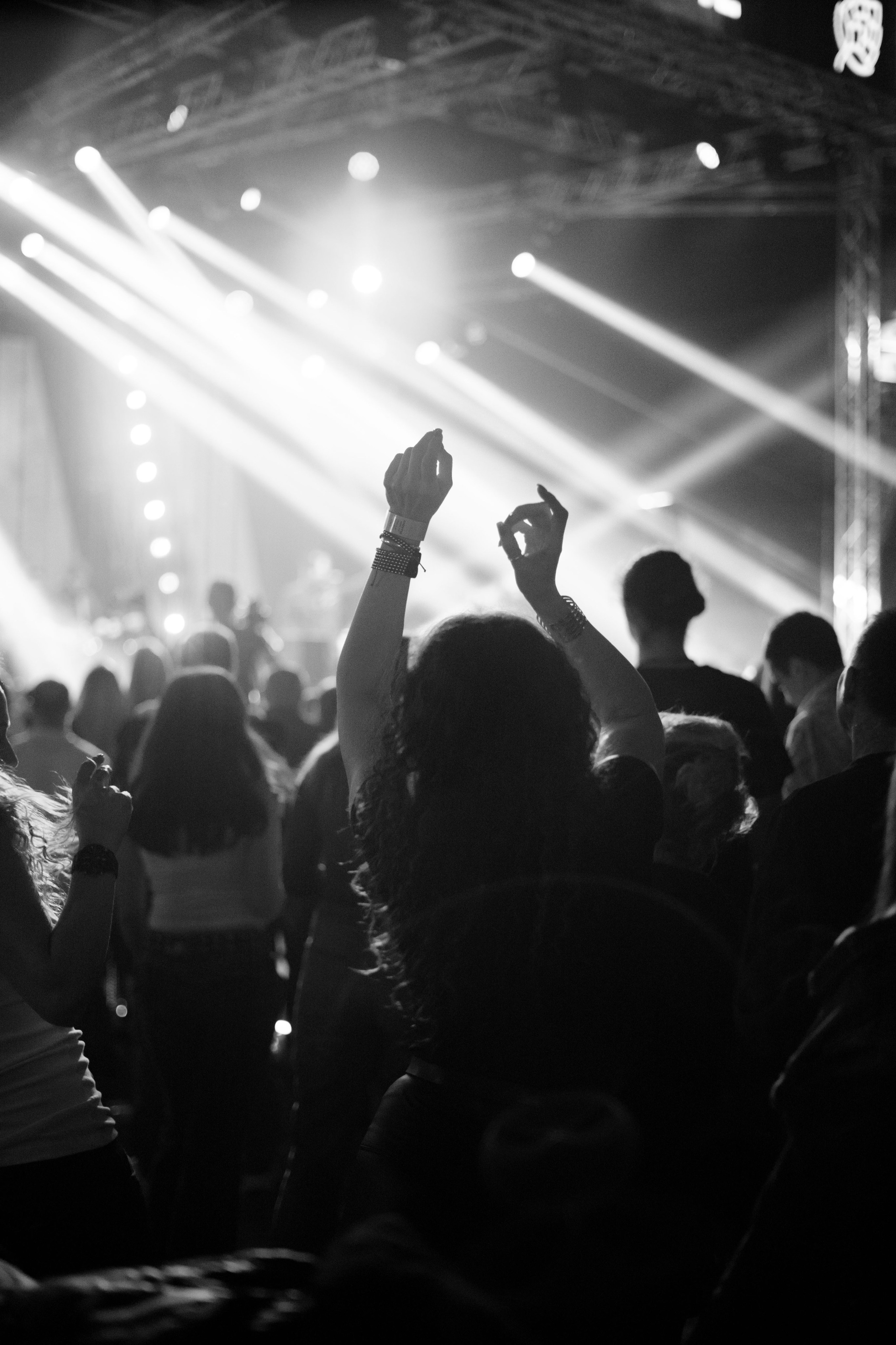 Dani piva u Novom Sadu 2024. Жуков Студио