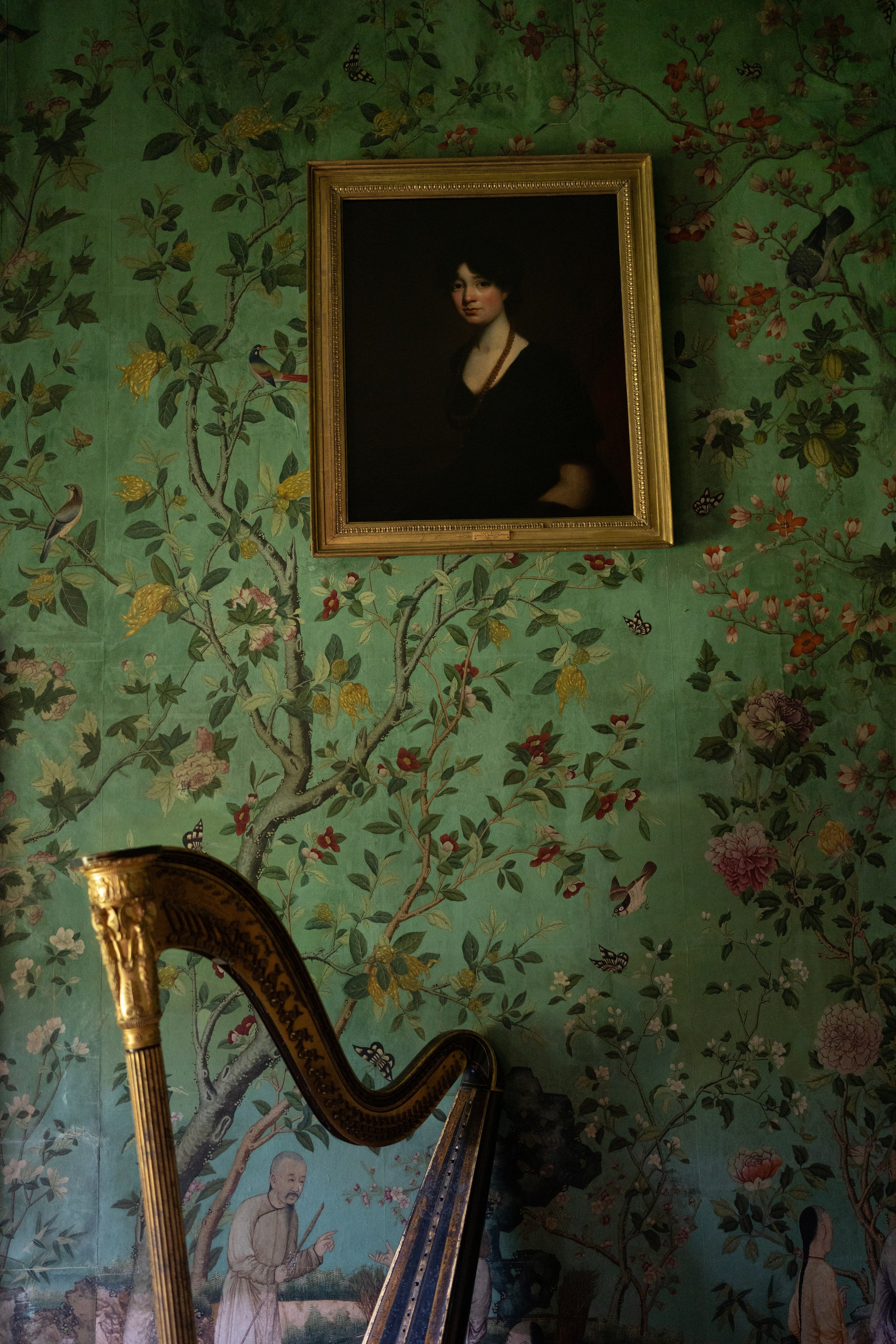 Туры. Photographer & Tour Guide Based in Scotland