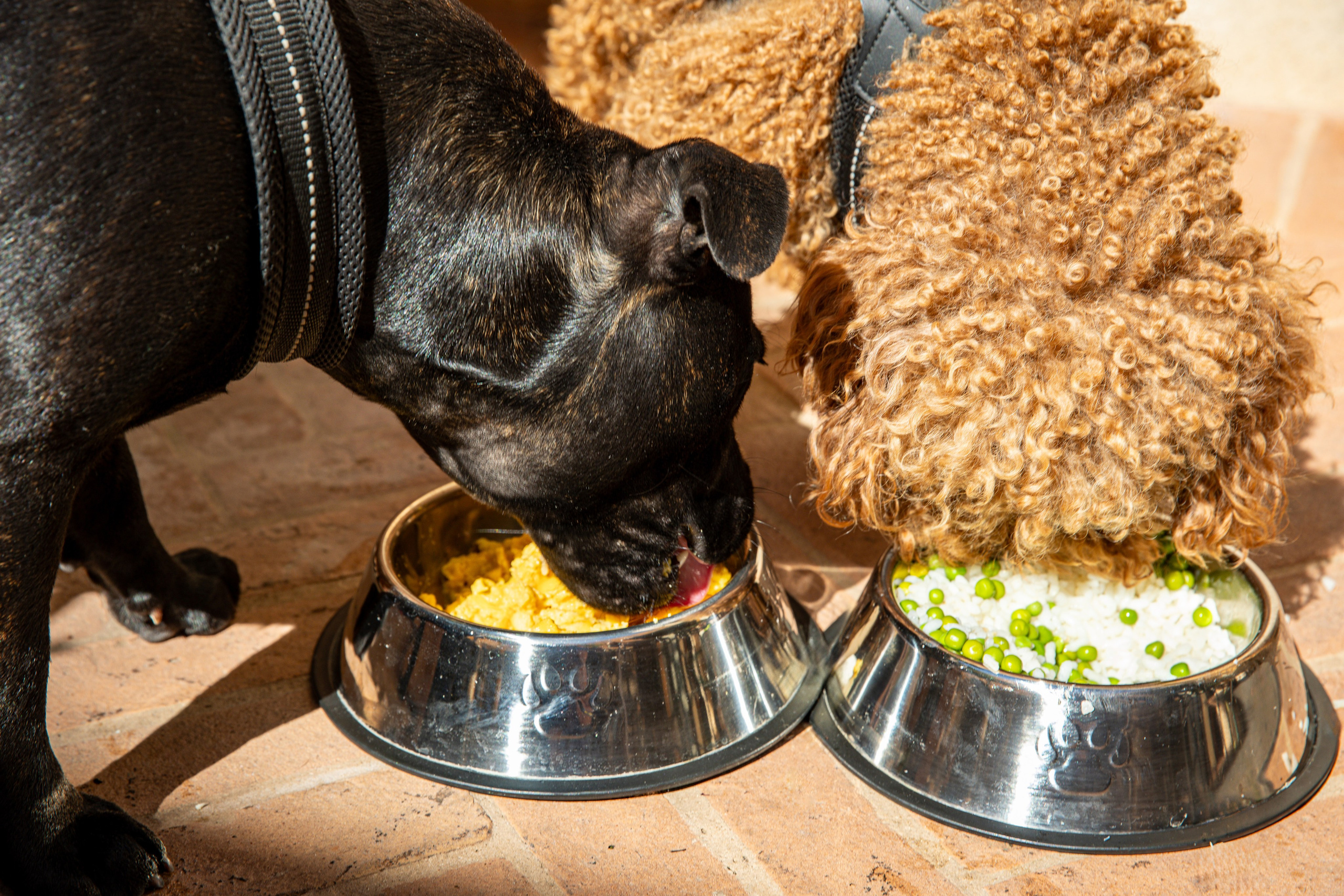 PALAZZO RIPETTA. Elizaveta Razumova: Cinematic Photography for Love, Weddings, Portraits & Brands