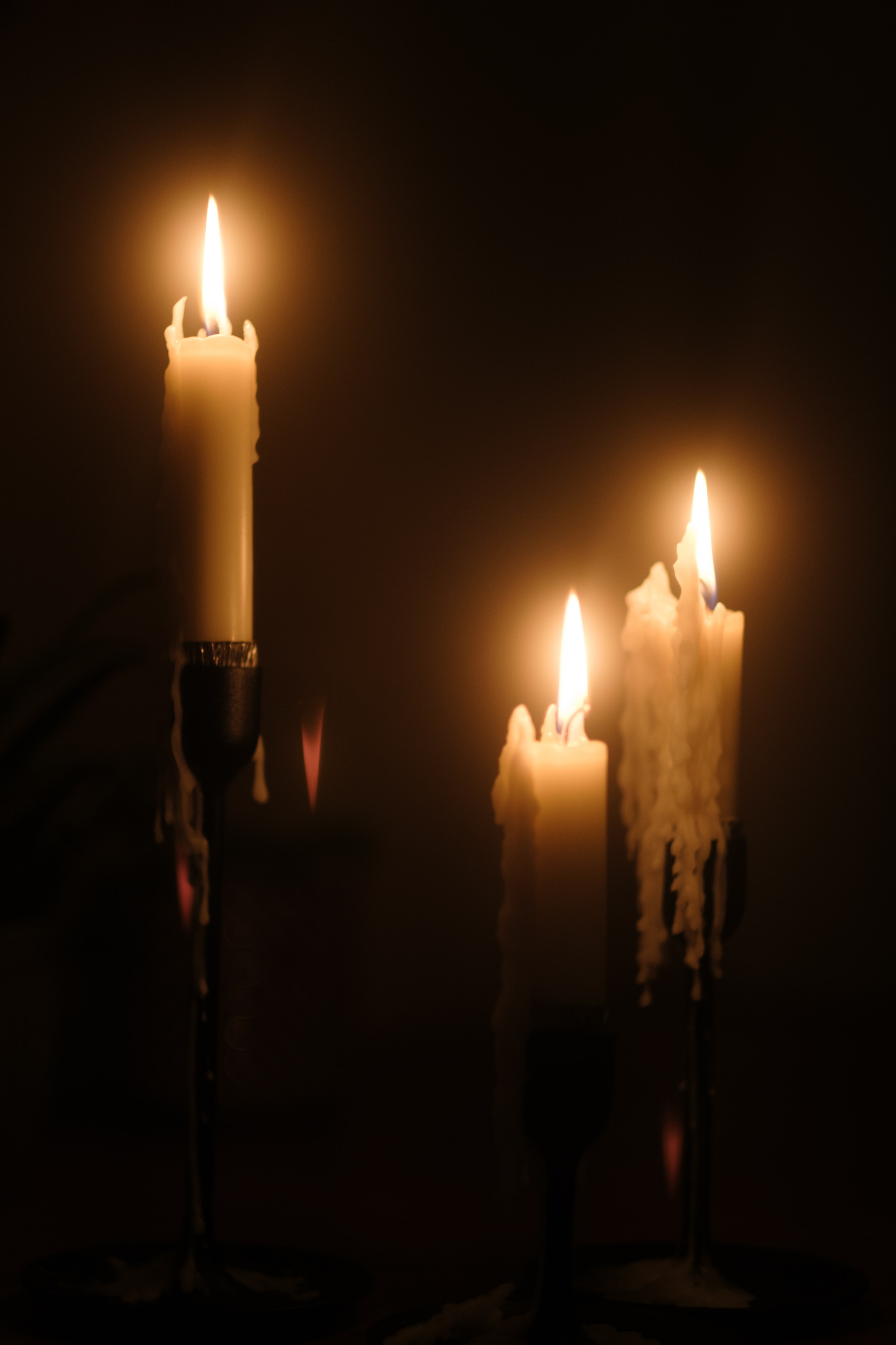 Flo & Men. Rotterdam. Paola wedding photographer / videographer in Barcelona