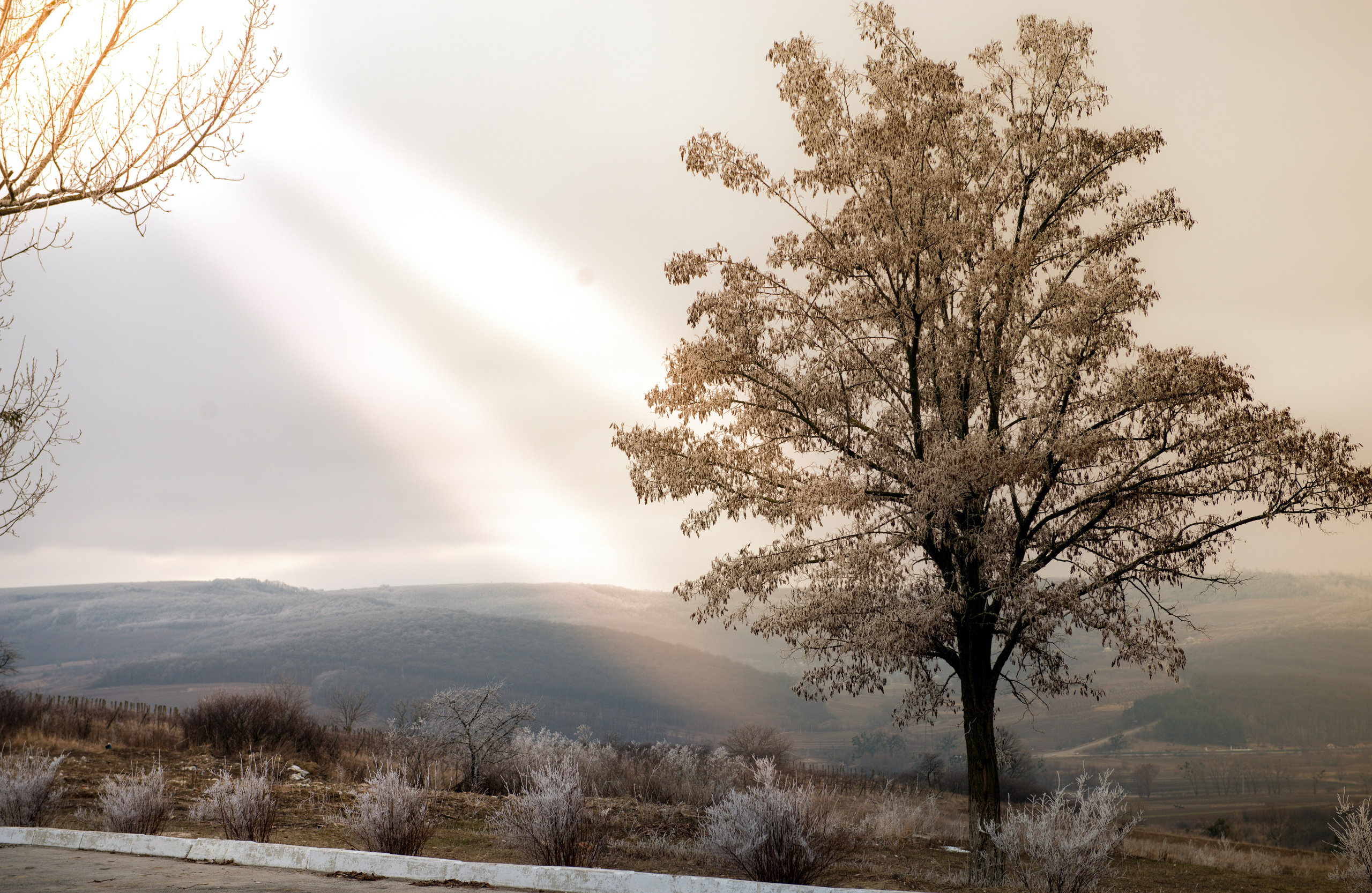Chisinau. Fotograf de familie Vitalie Budoianu
