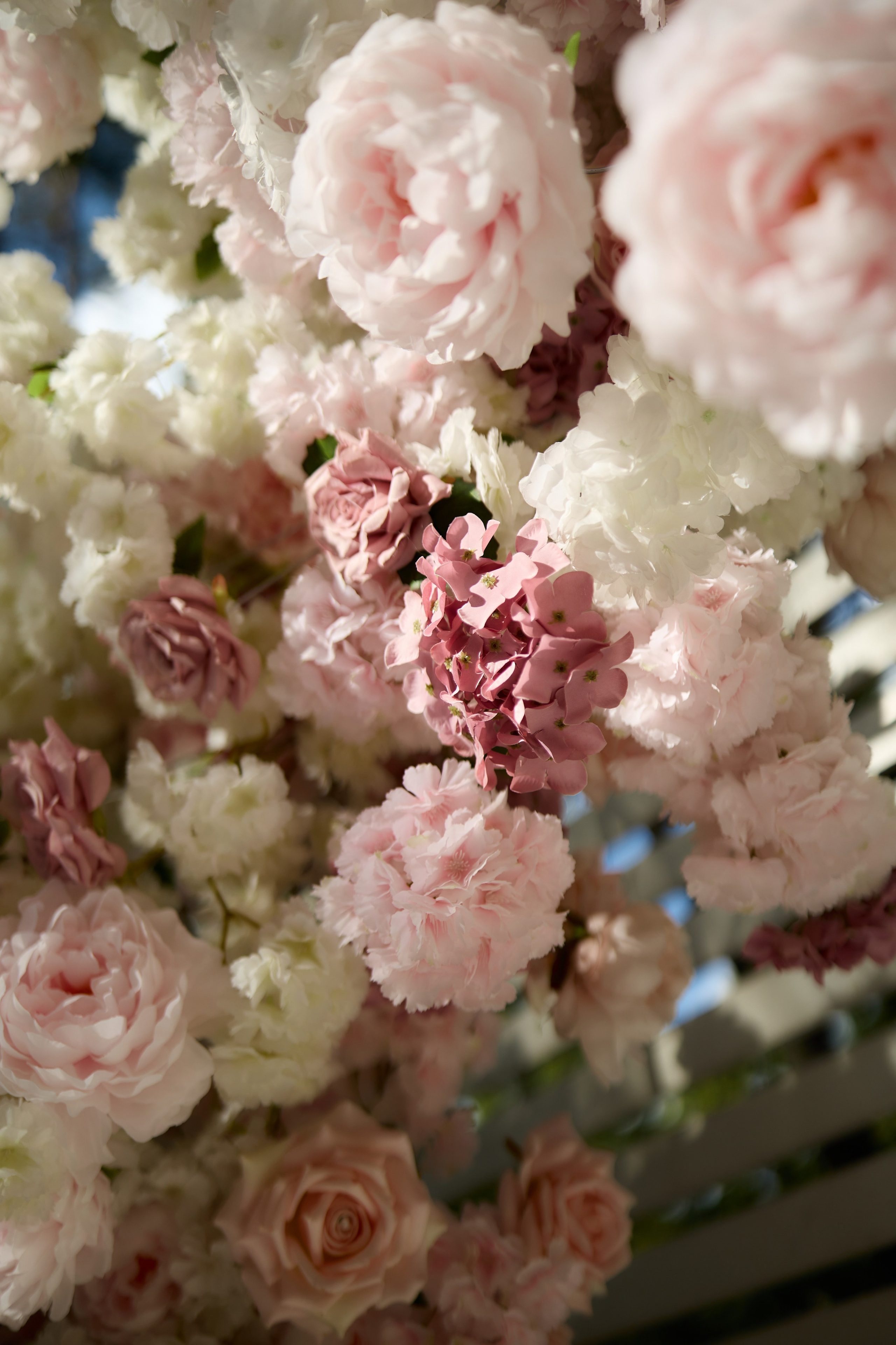 Pavel & Vlada. Свадебный и семейный фотограф. Fotograf de nunta si familie