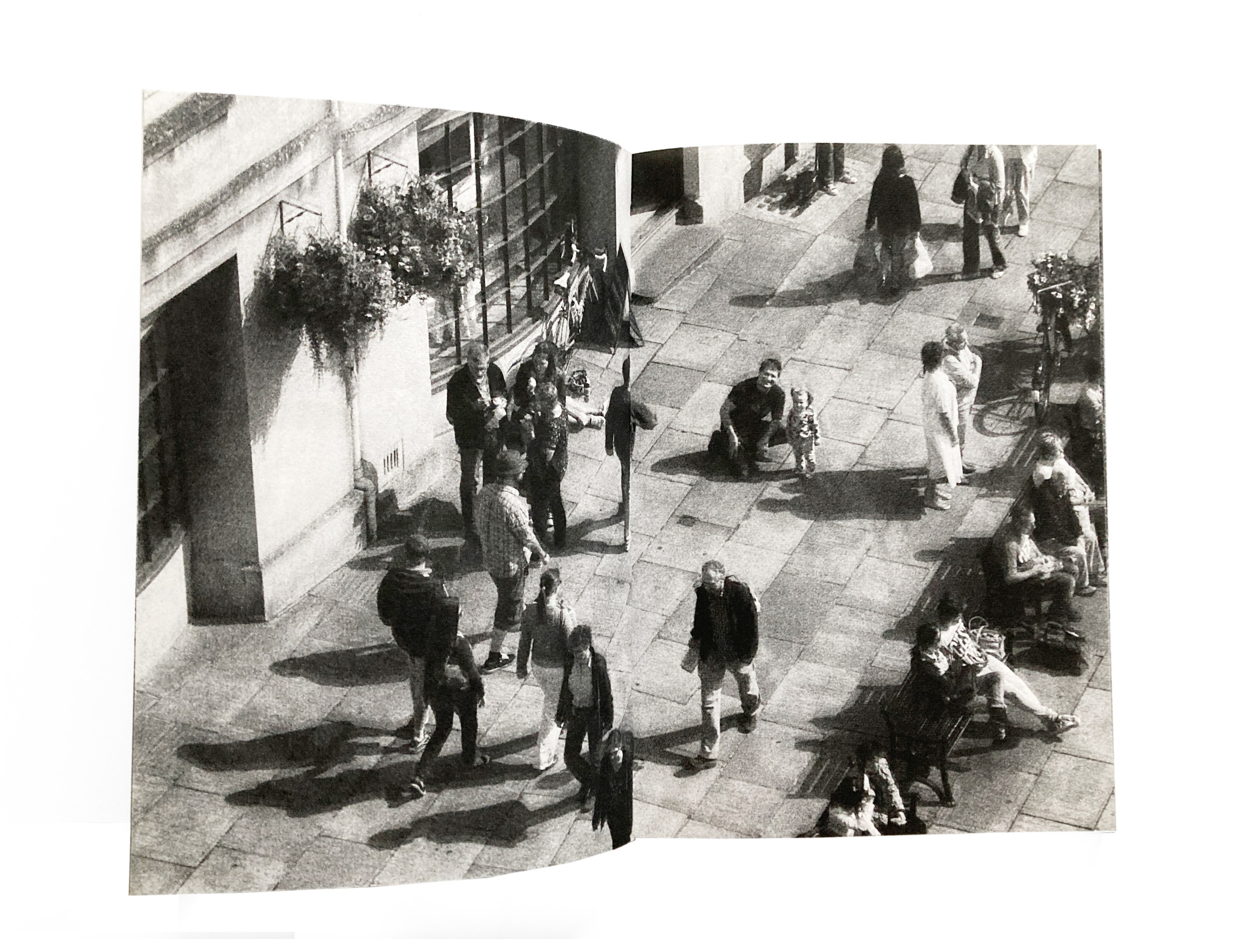 Fly in Amber. Sveta Kaverina