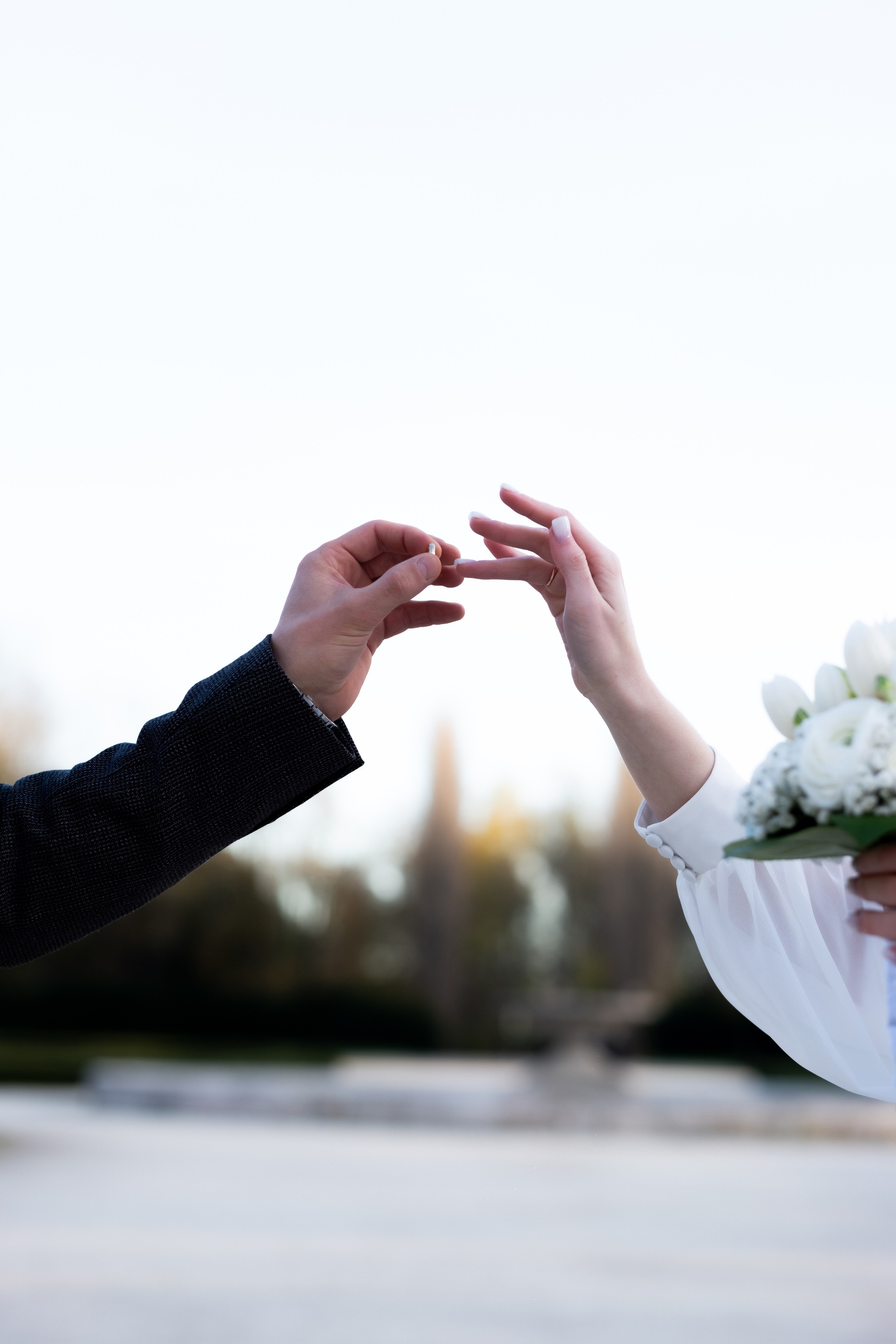 N&C. Grosu Photography