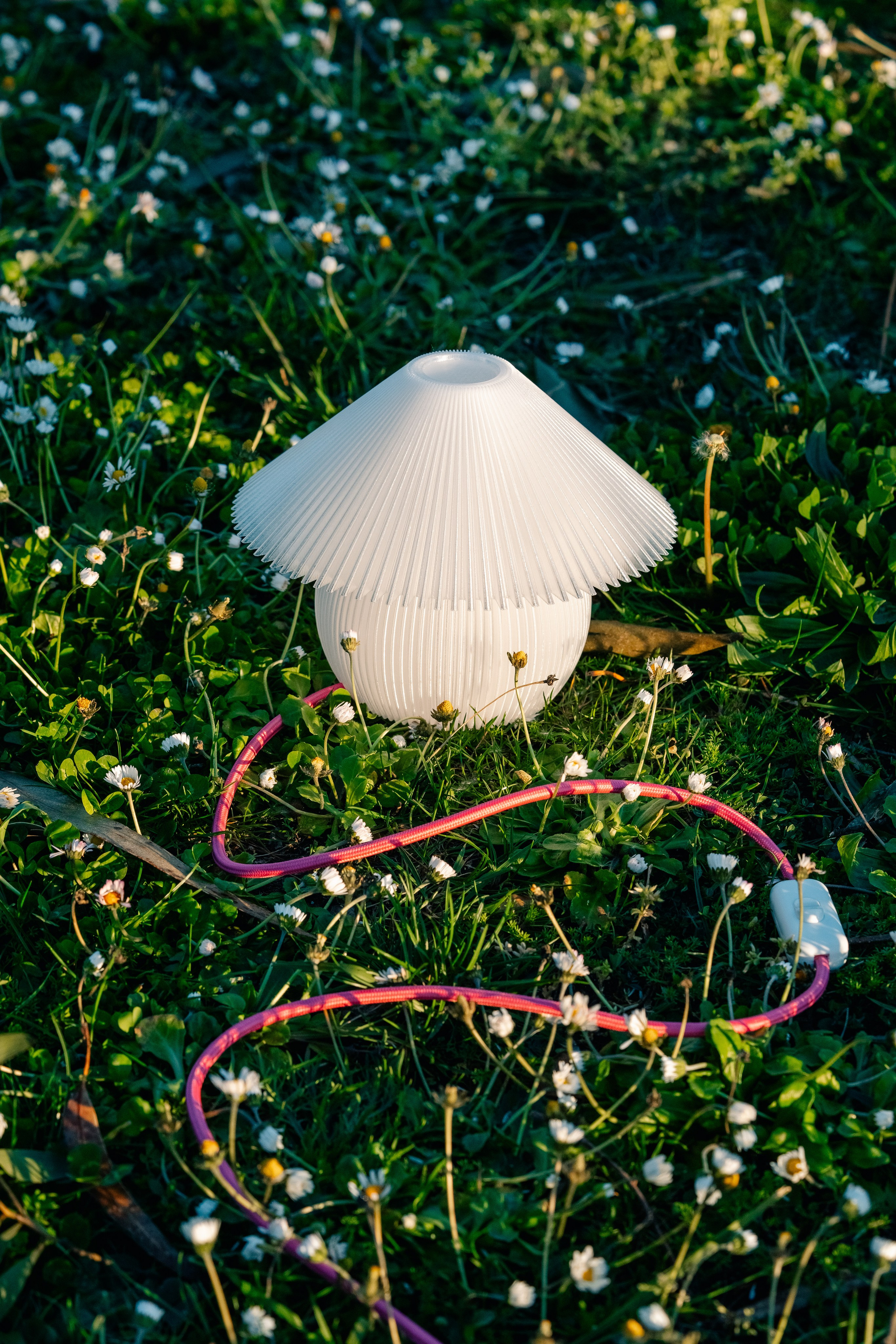 Lumu. Maria Sher. Professional photographer from Porto, Portugal