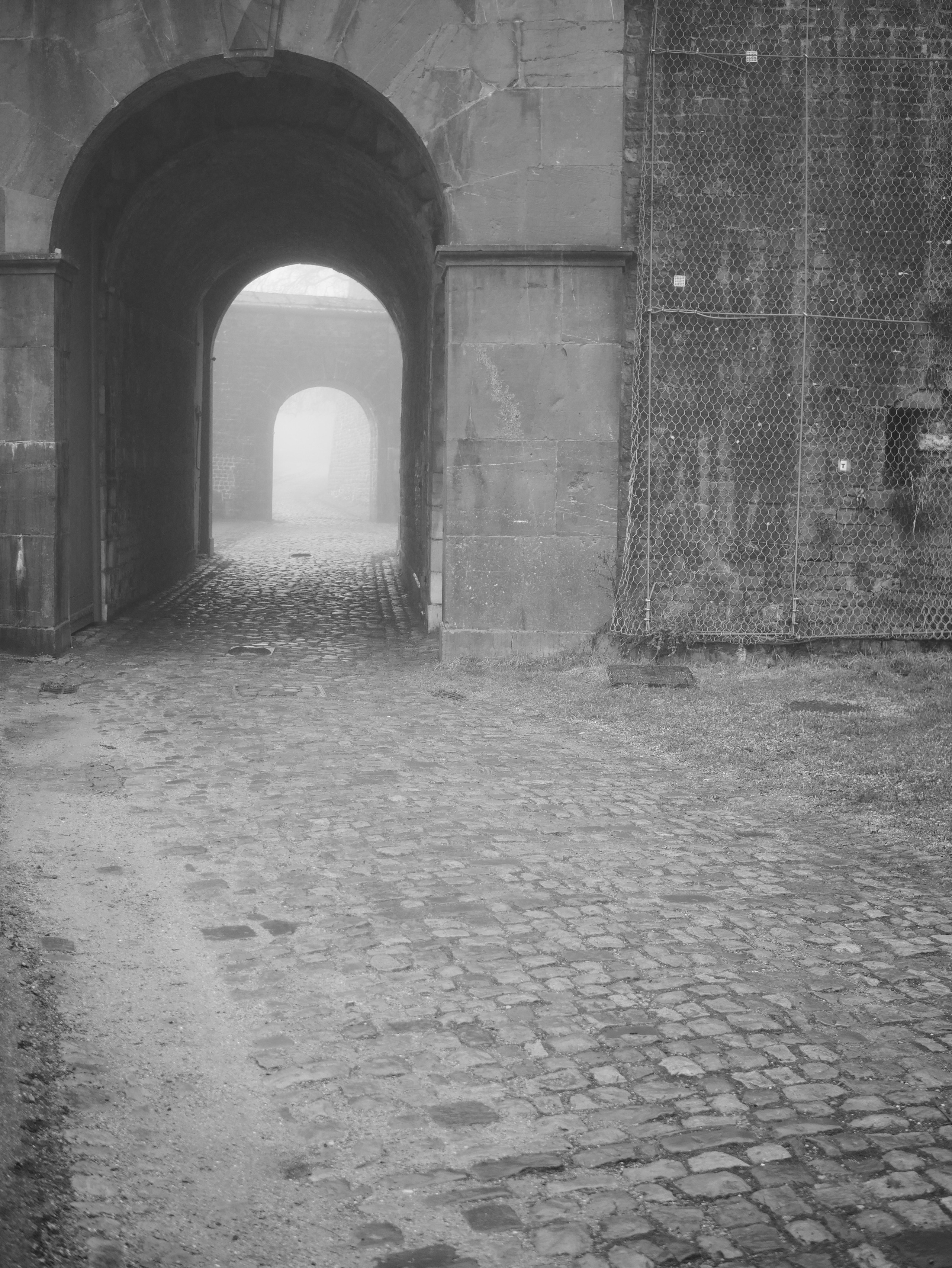 Demyd — art collection