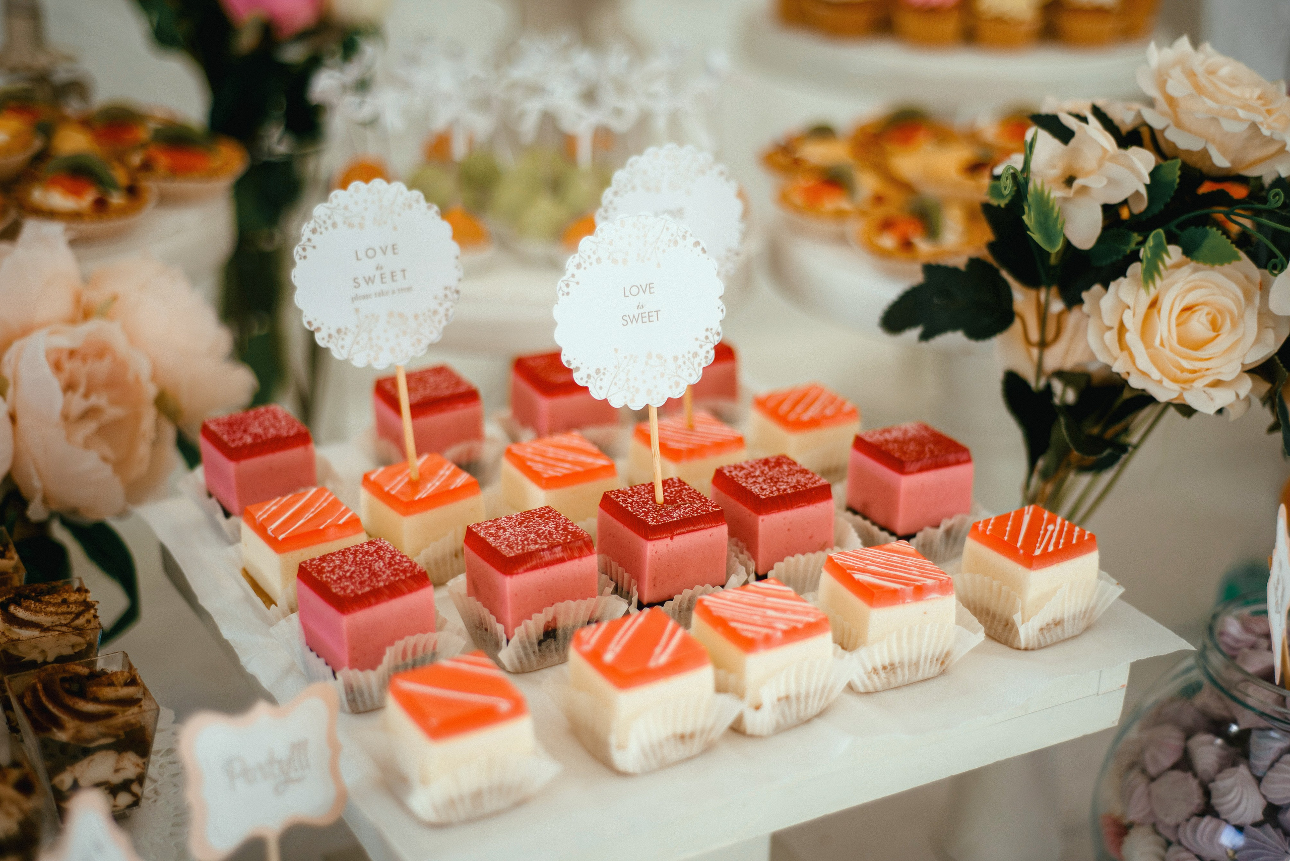 Cristina & Vadim. Fotograf de familie și evenimente