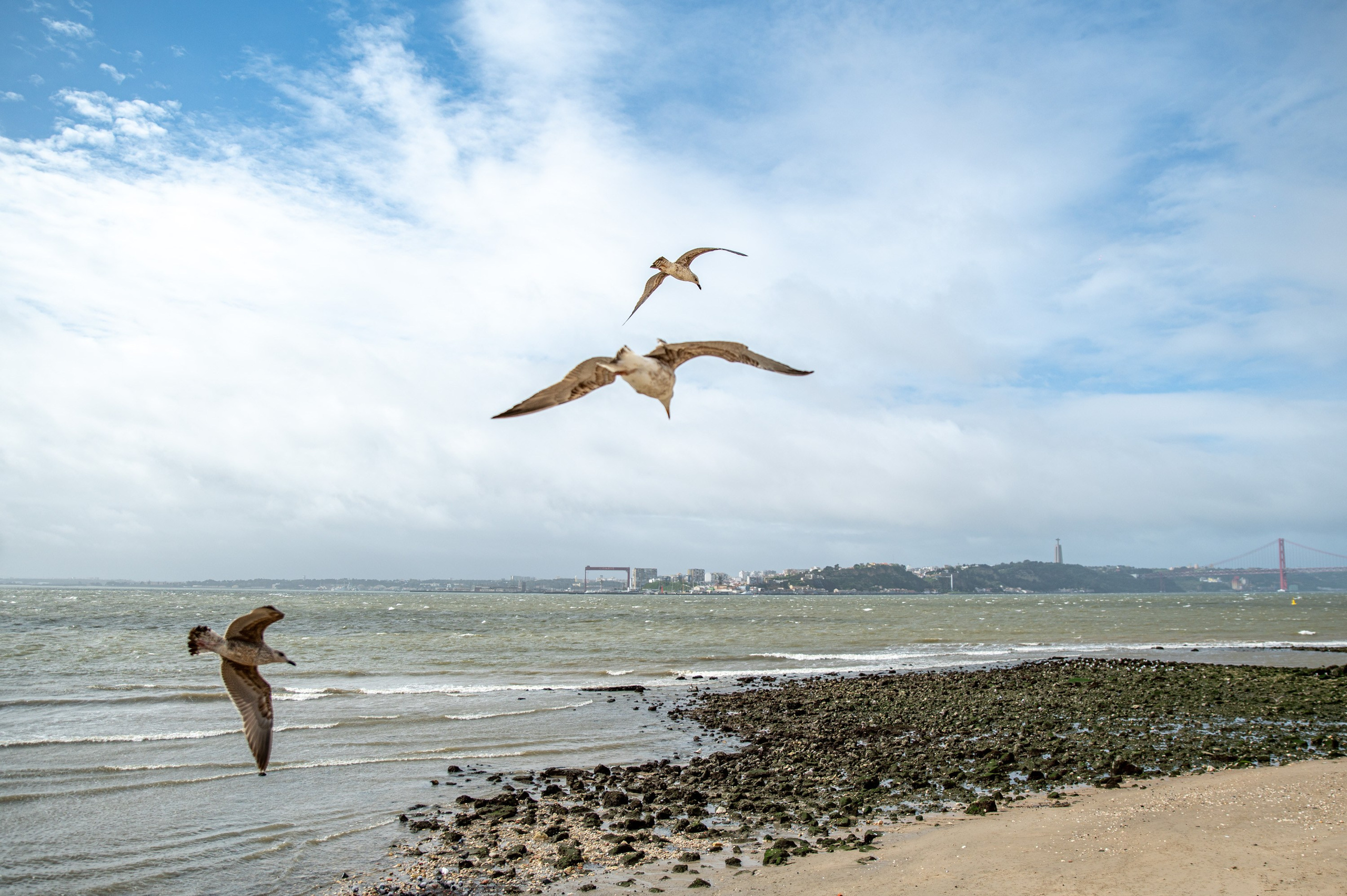 Portugal. Bojana Žuža fotograf u Beogradu 📷 Belgrade photographer