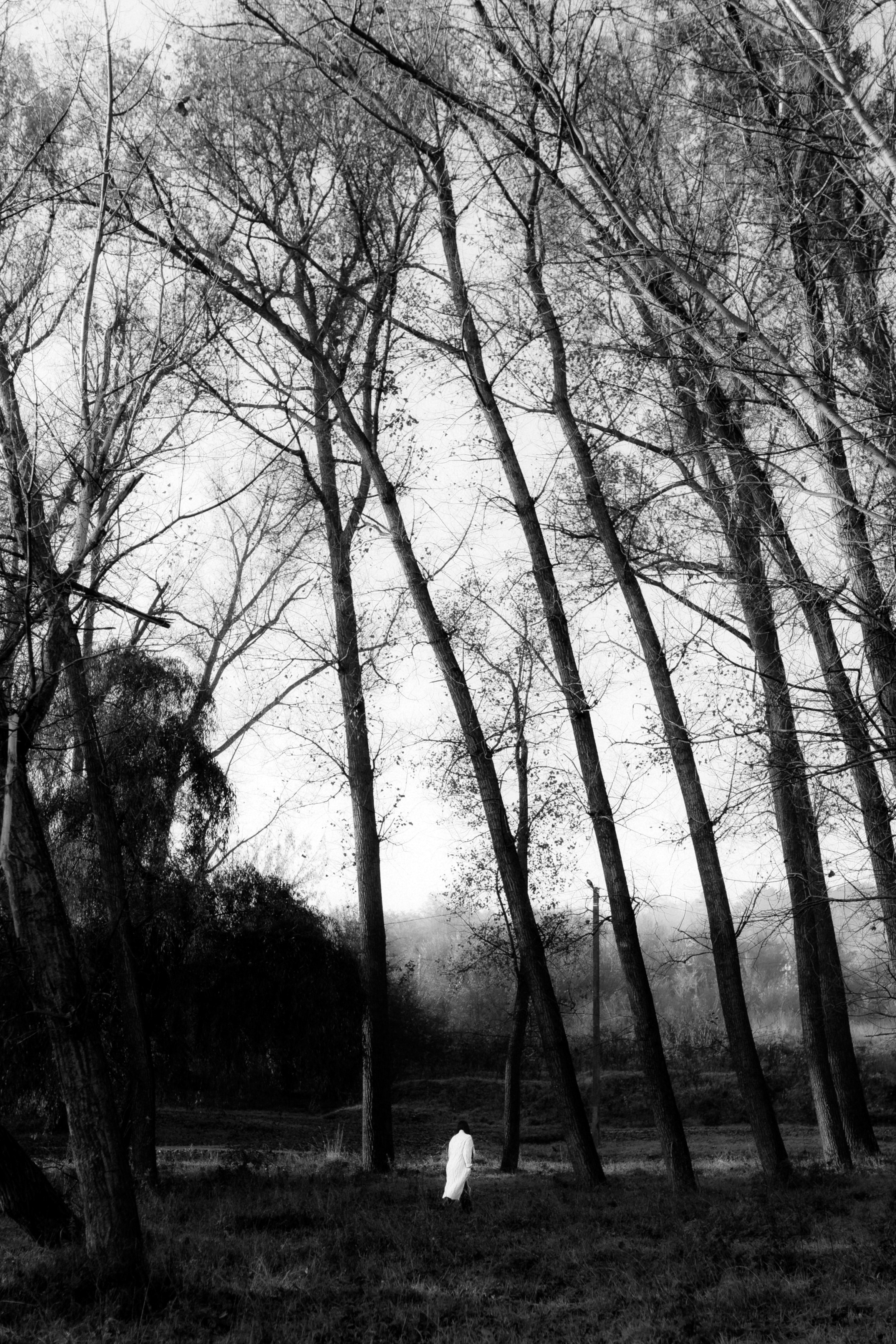 MARIANA — AUTUMN TIME. Fulga Photographer