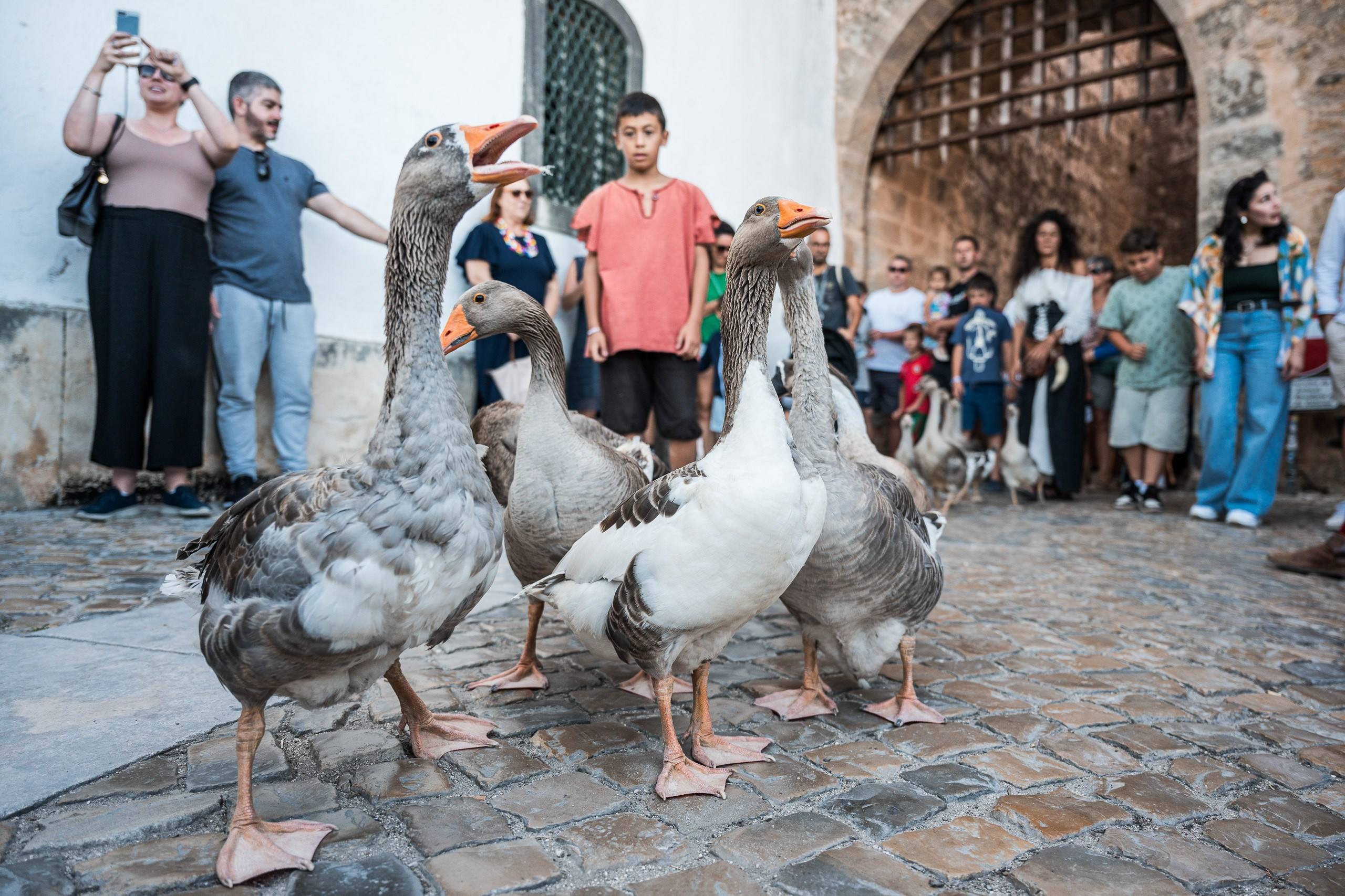 Fotografia de Eventos de Luxo | Beyond Creative. Produtora de Vídeo e Fotografia Cinematográfica | Beyond Creative 20 Portugal Lisboa