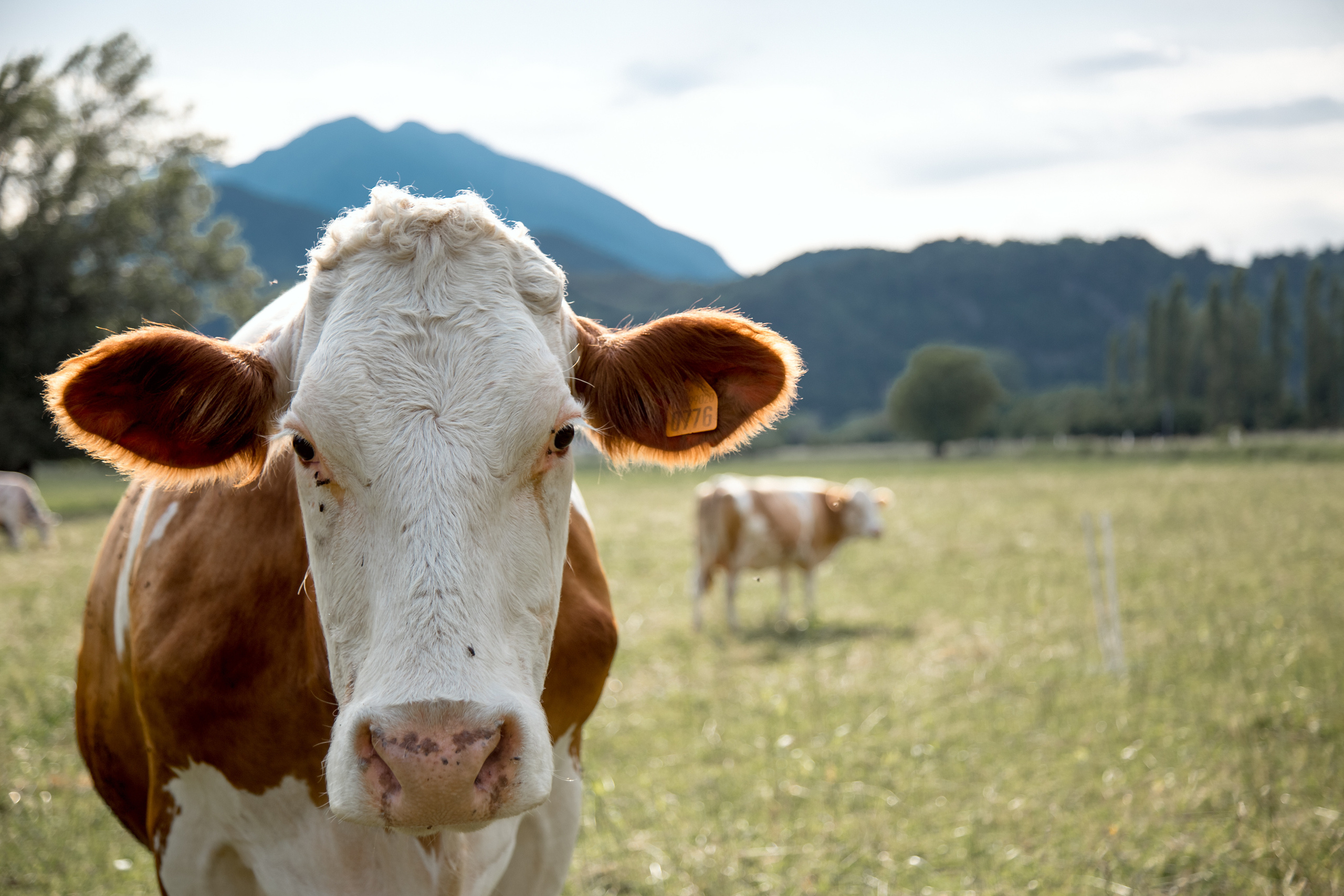 𝙎𝙤𝙢𝙚 𝙬𝙝𝙚𝙧𝙚 𝙞𝙣 𝙁𝙧𝙞𝙪𝙡𝙮. Photographer in Venice, Viktoria Antonova