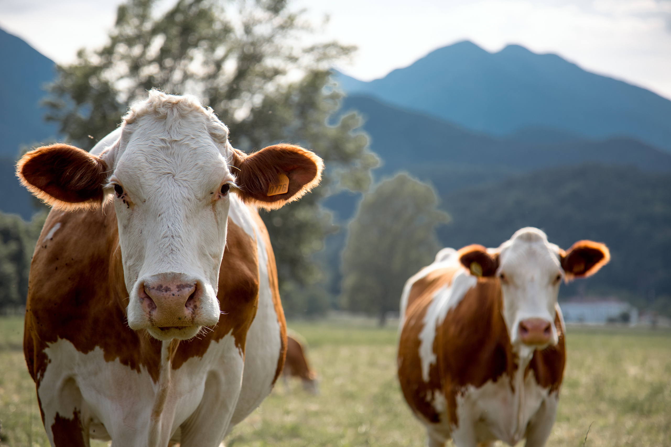 𝙎𝙤𝙢𝙚 𝙬𝙝𝙚𝙧𝙚 𝙞𝙣 𝙁𝙧𝙞𝙪𝙡𝙮. Photographer in Venice, Viktoria Antonova