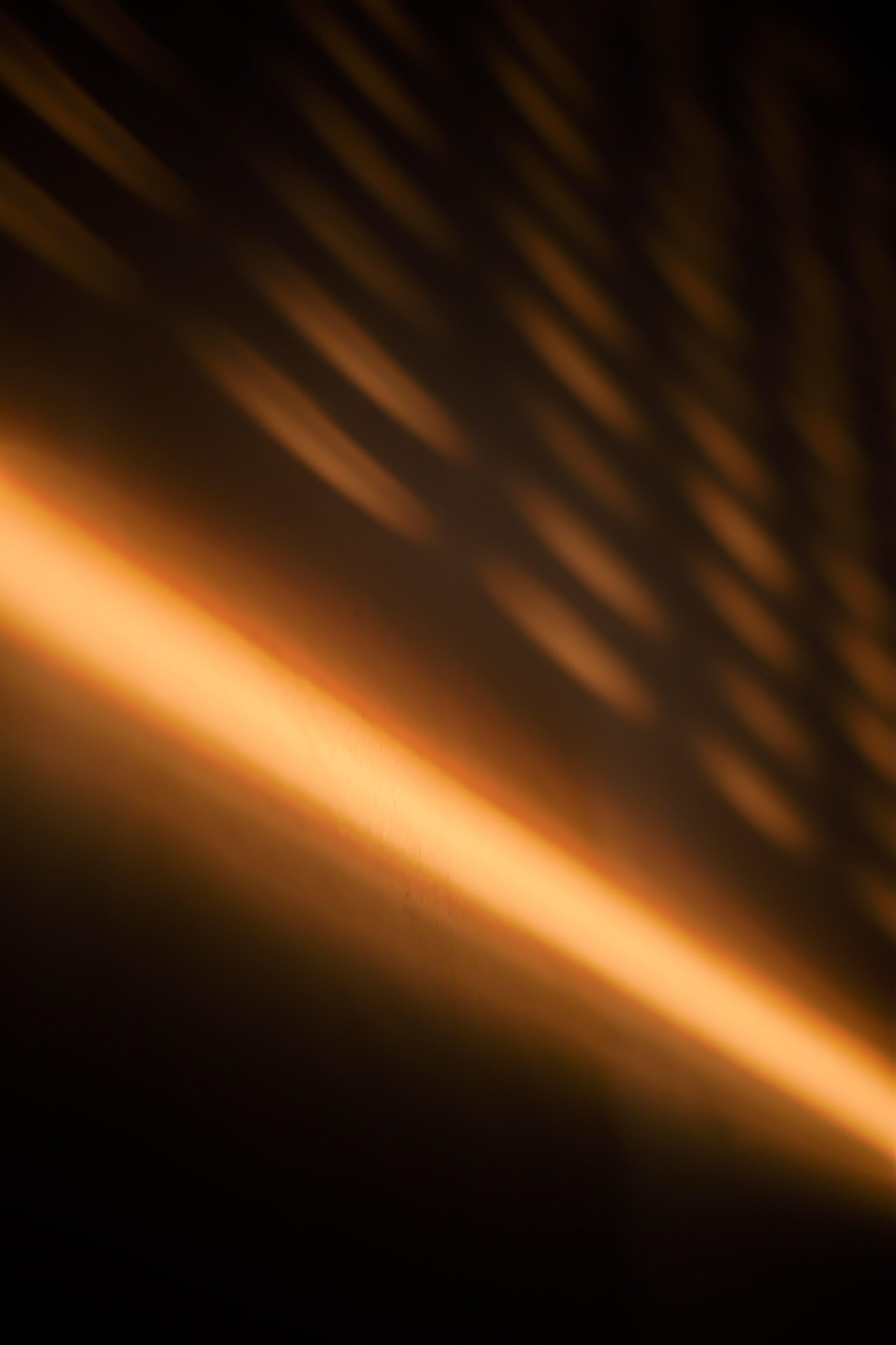 Sunset. Zhukov studio