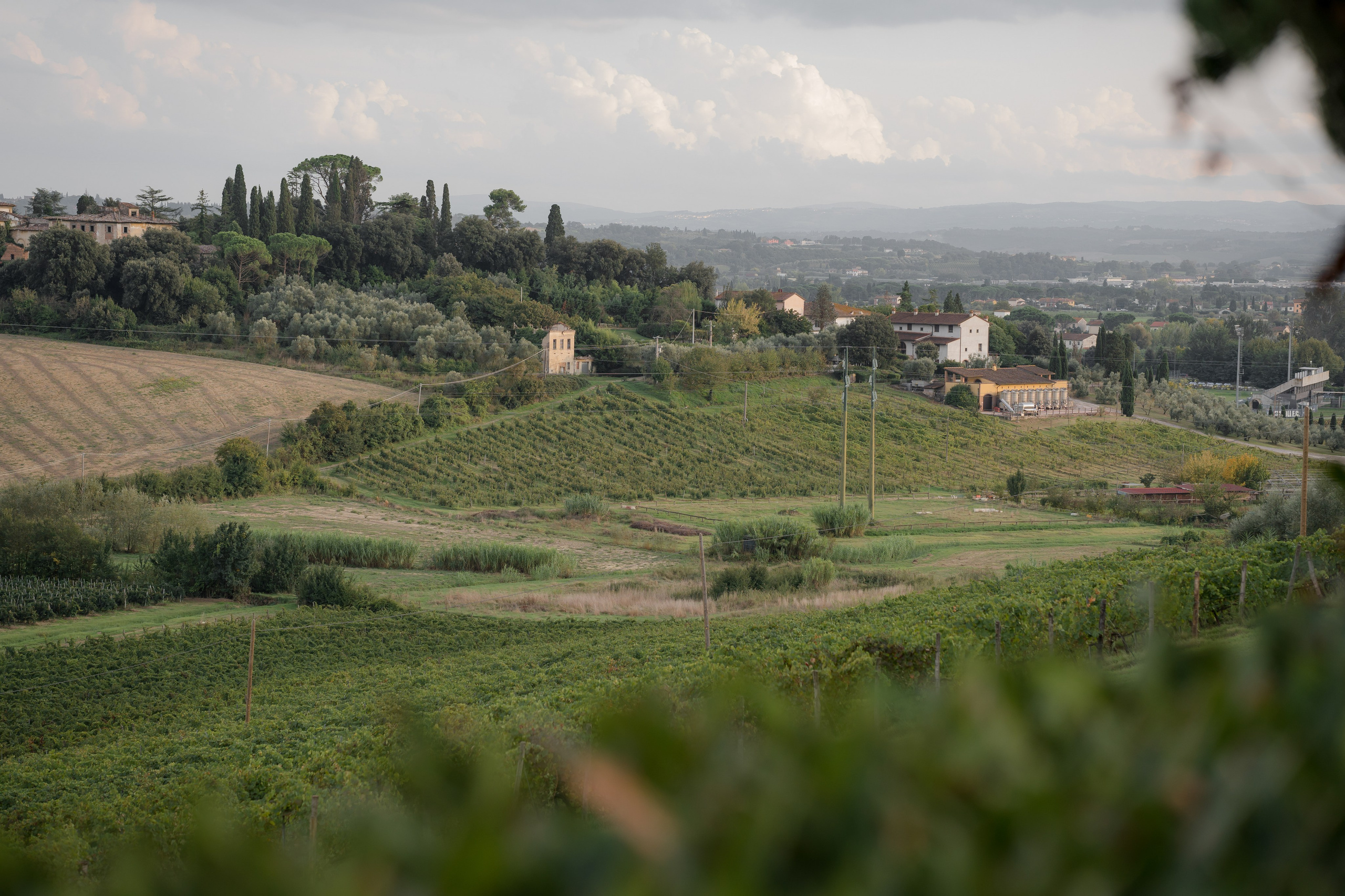Dom&Ally. Wedding photographer Italy