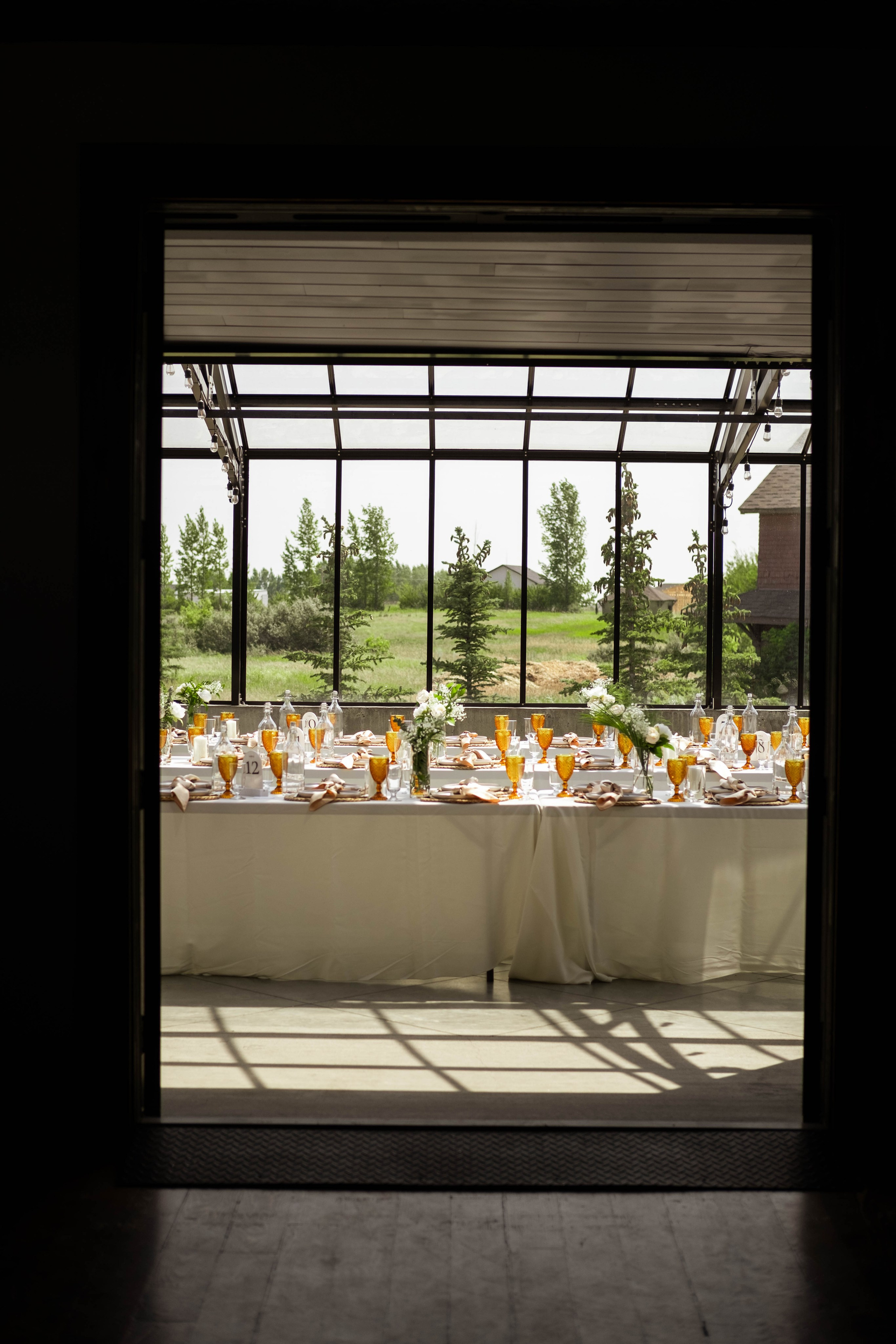 A&o. Wedding photography and videography in Regina, Saskatchewan