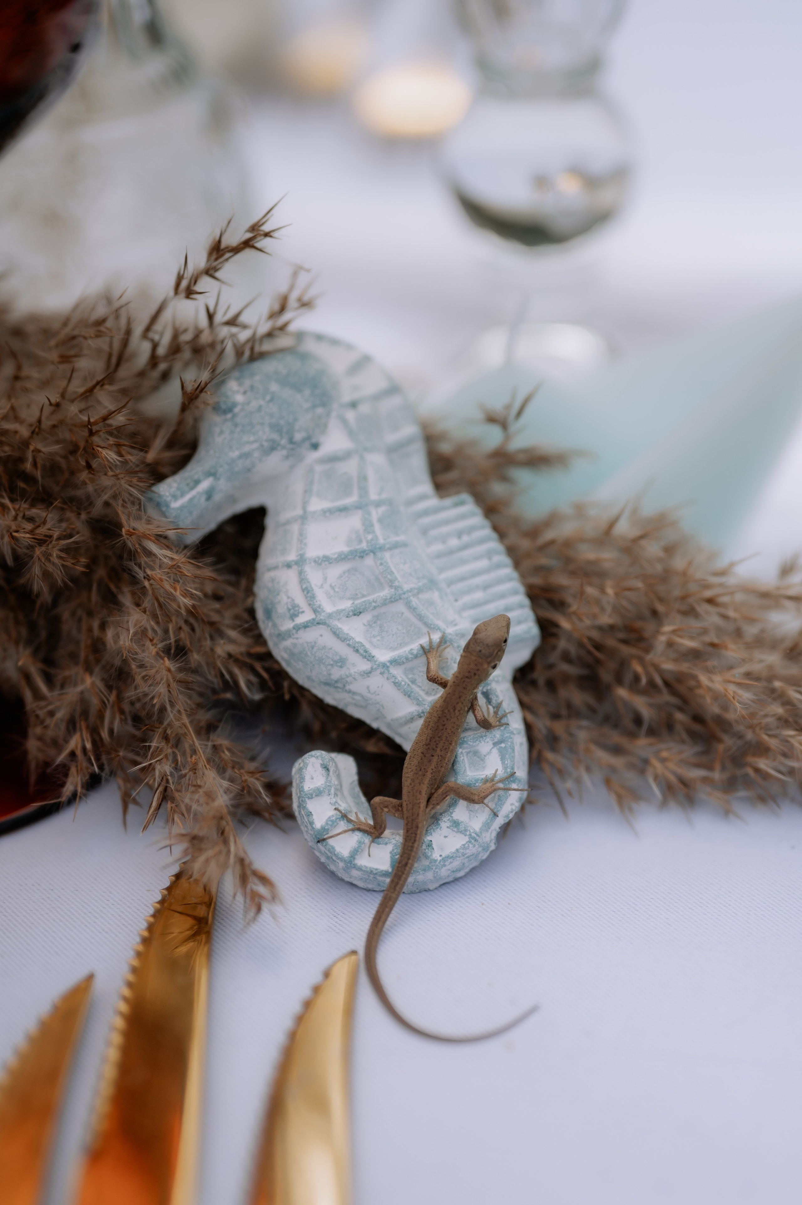 Servicii foto video profesionale de nunta, la cel mai bun pret. Proud Vision Weddings | Wedding Photography & Film — Servicii profesionale Foto Video Nunta Iasi